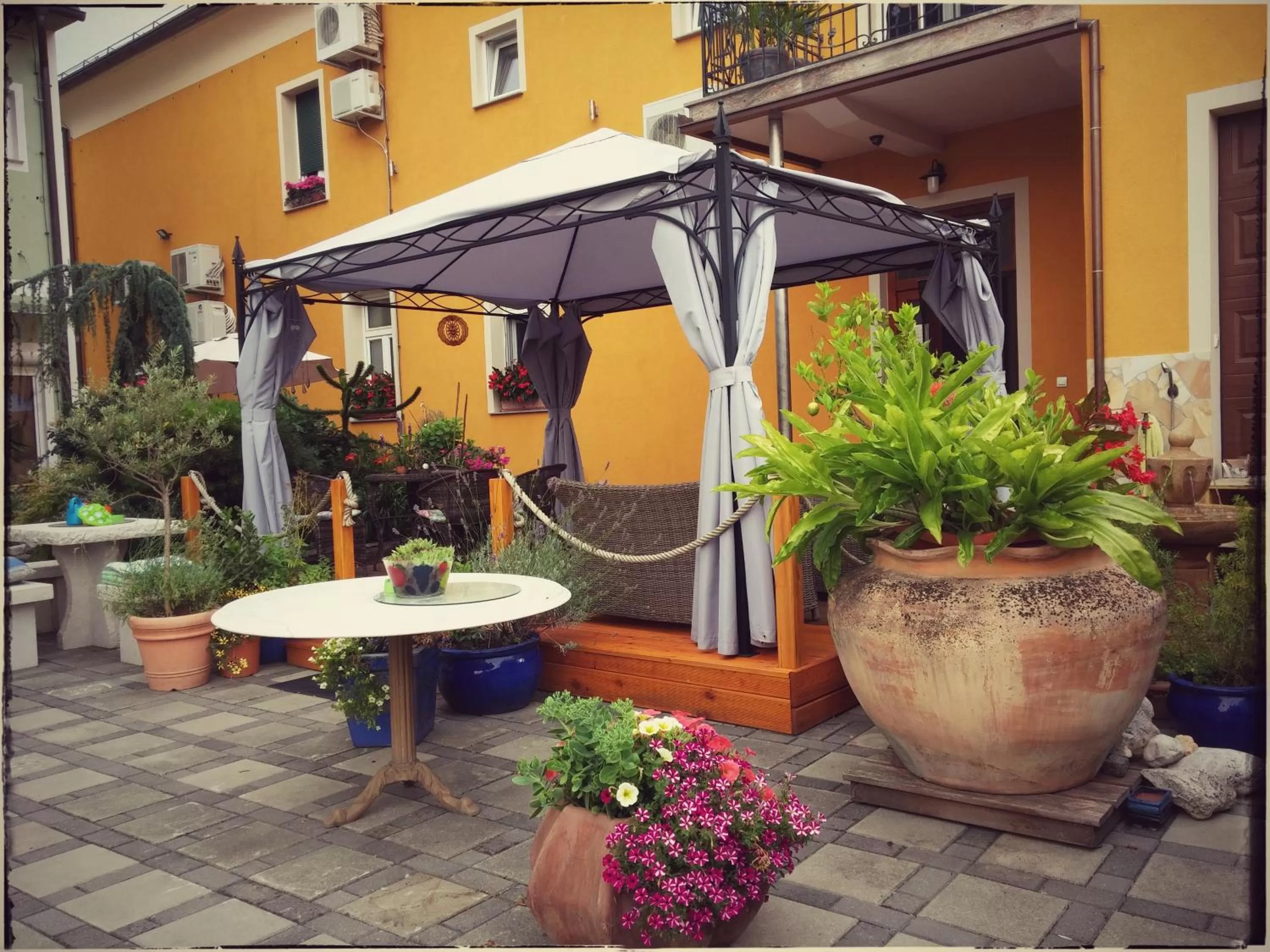 Garden in Hostel Sonce