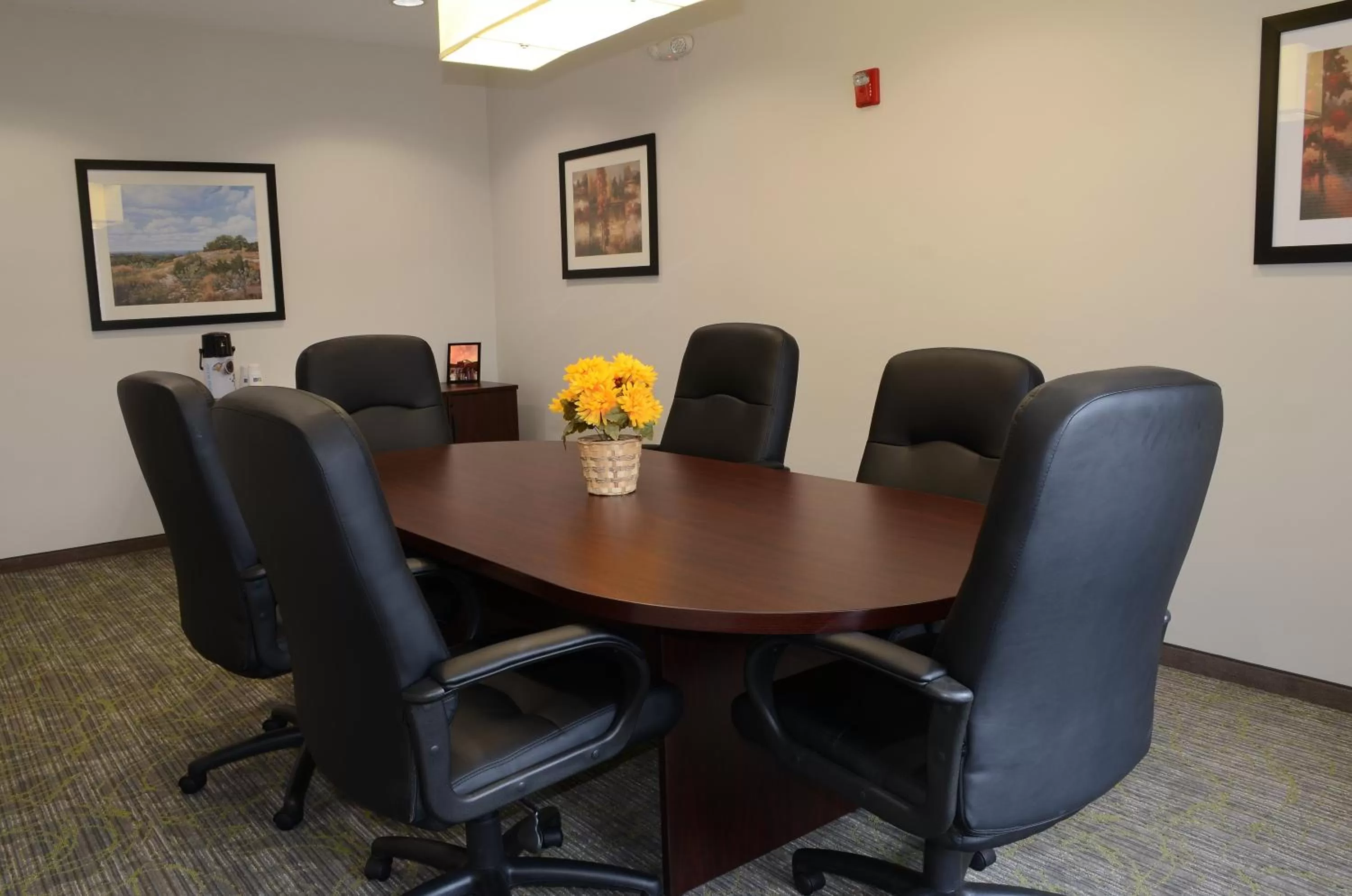 Meeting/conference room in Holiday Inn Express Hotel & Suites Burlington by IHG
