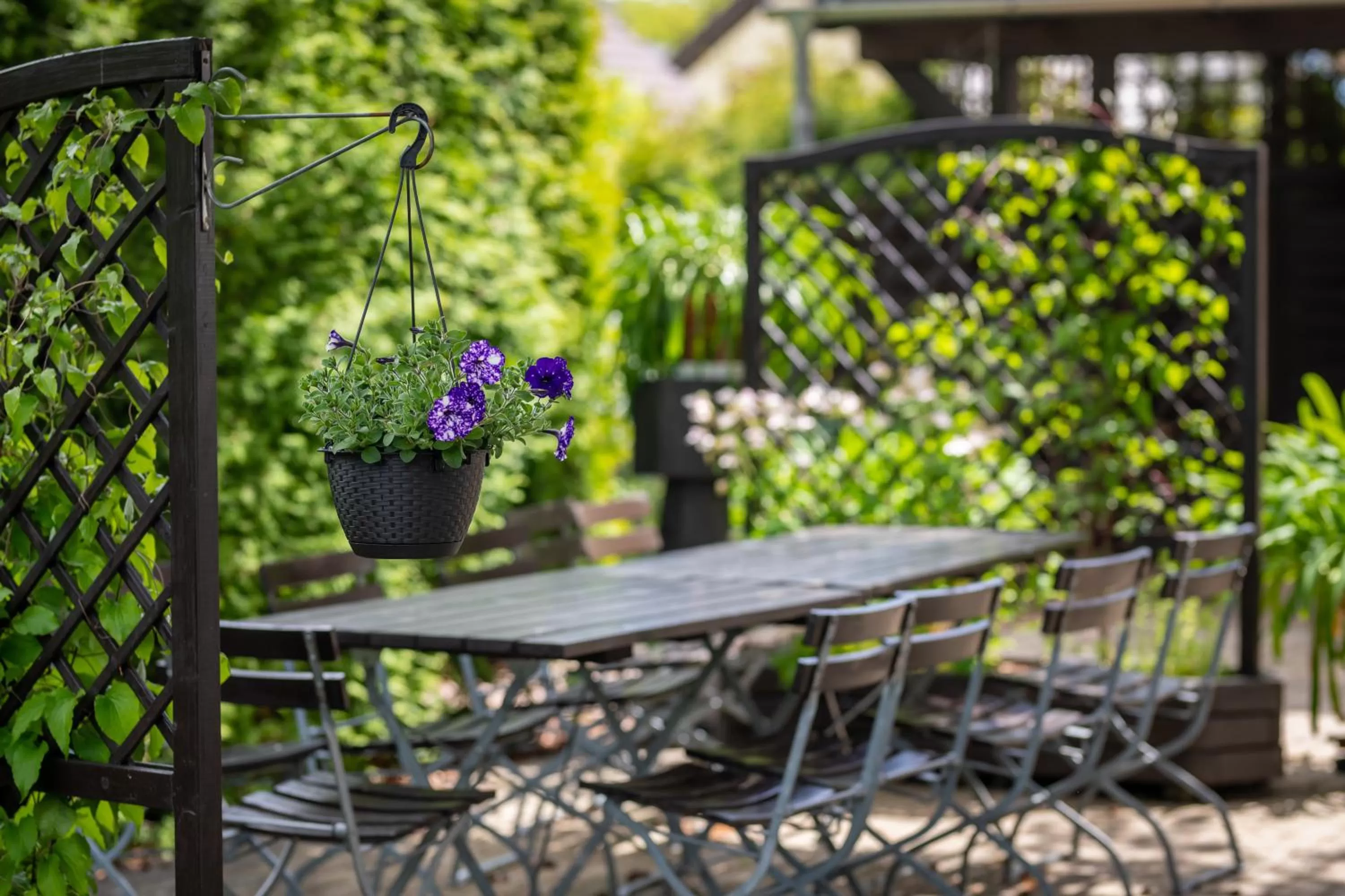Garden view, Patio/Outdoor Area in Hotel Asterra
