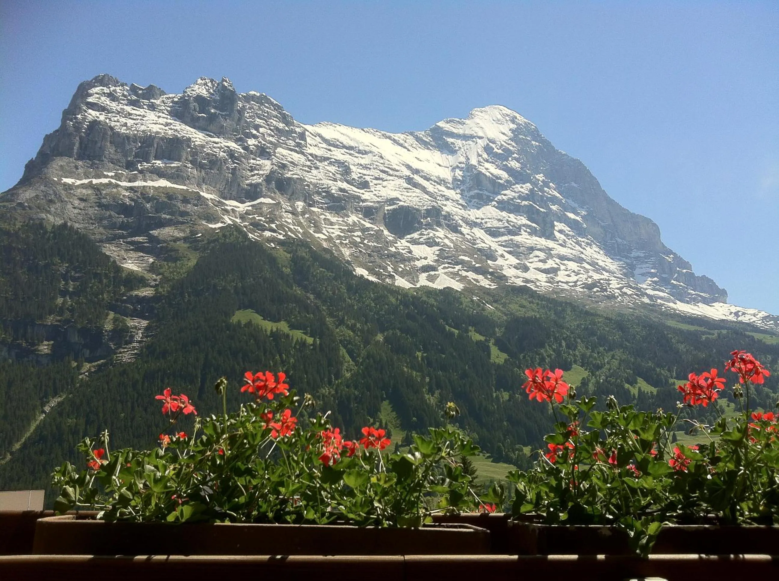View (from property/room) in Hotel Bernerhof Grindelwald