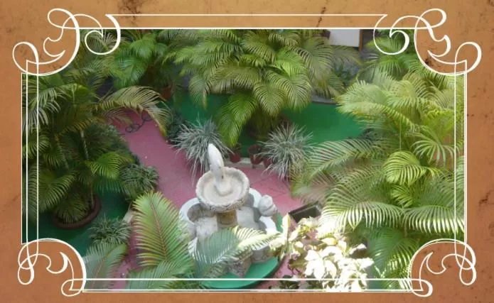 Pool View in Hotel El Reformador