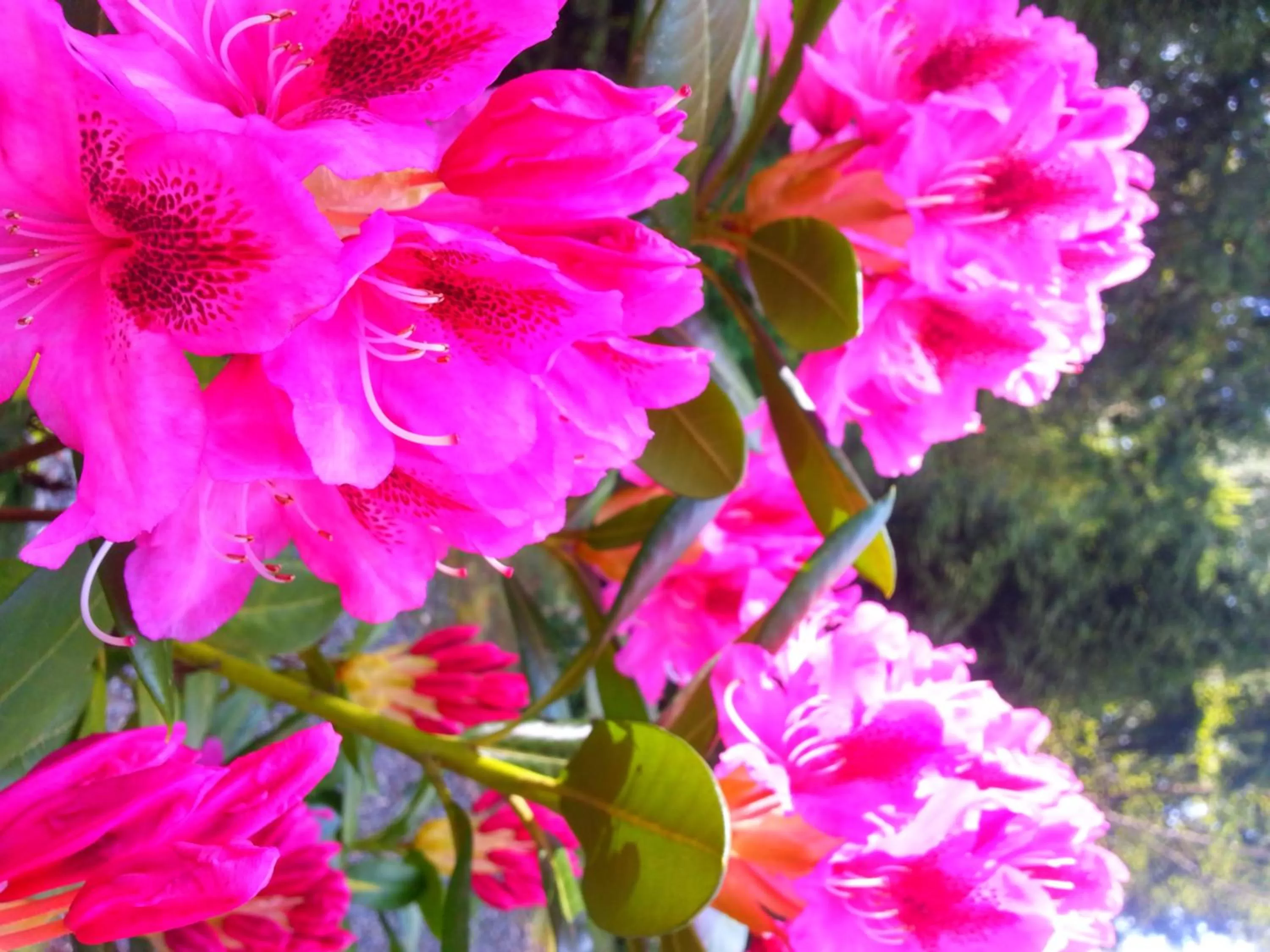 Other in Holiday Inn Express and Suites Surrey by IHG