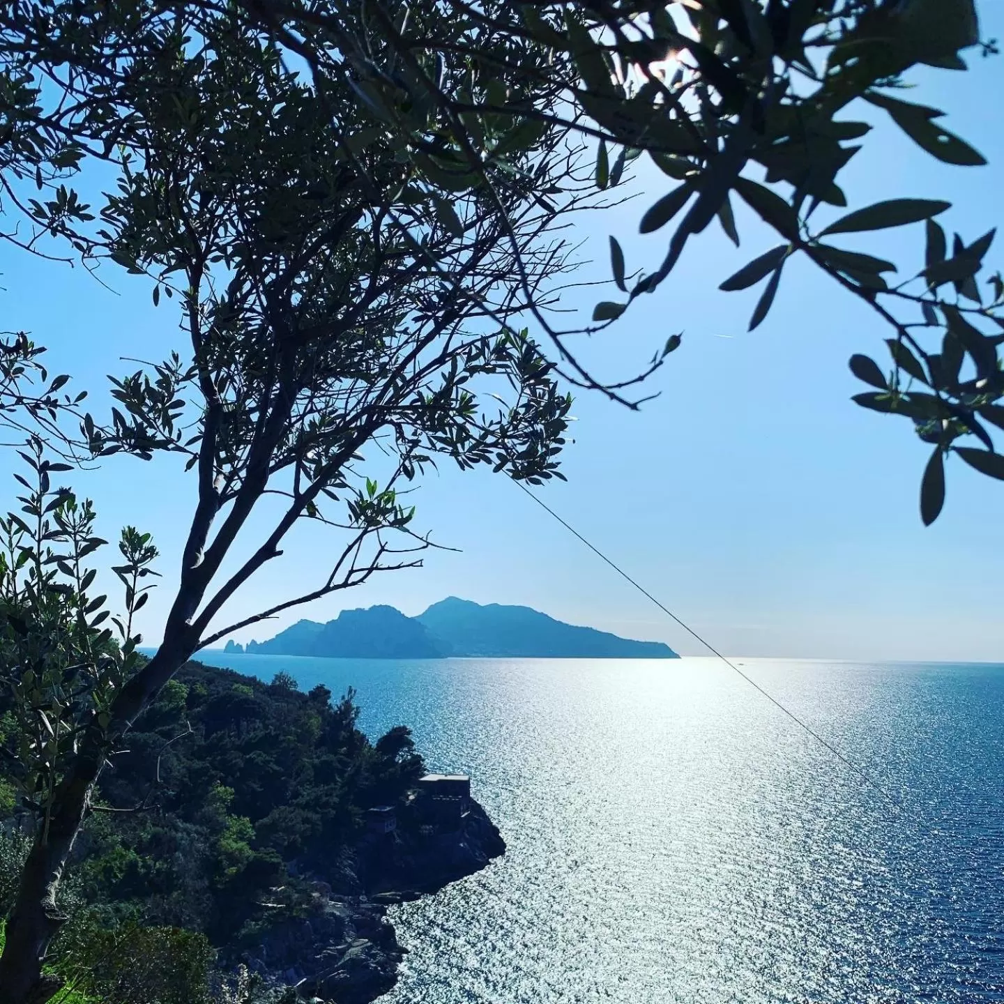 Natural landscape in Il Chiostro