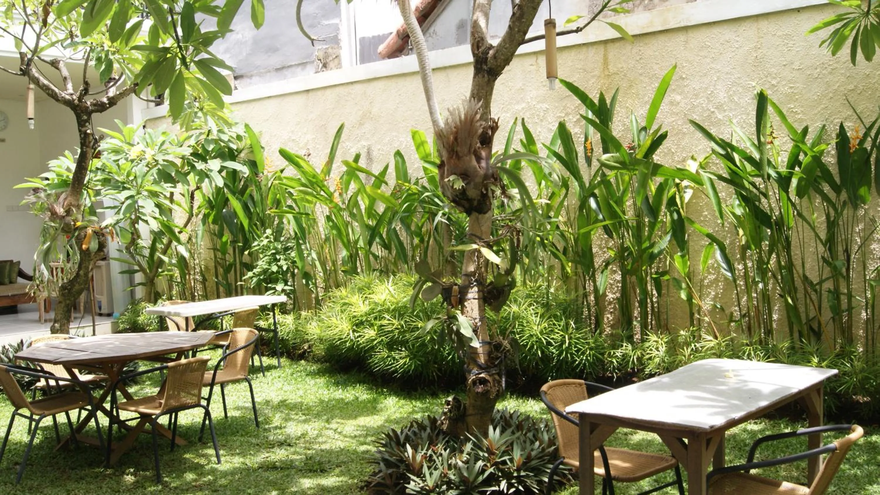 Garden in Sugiras Living