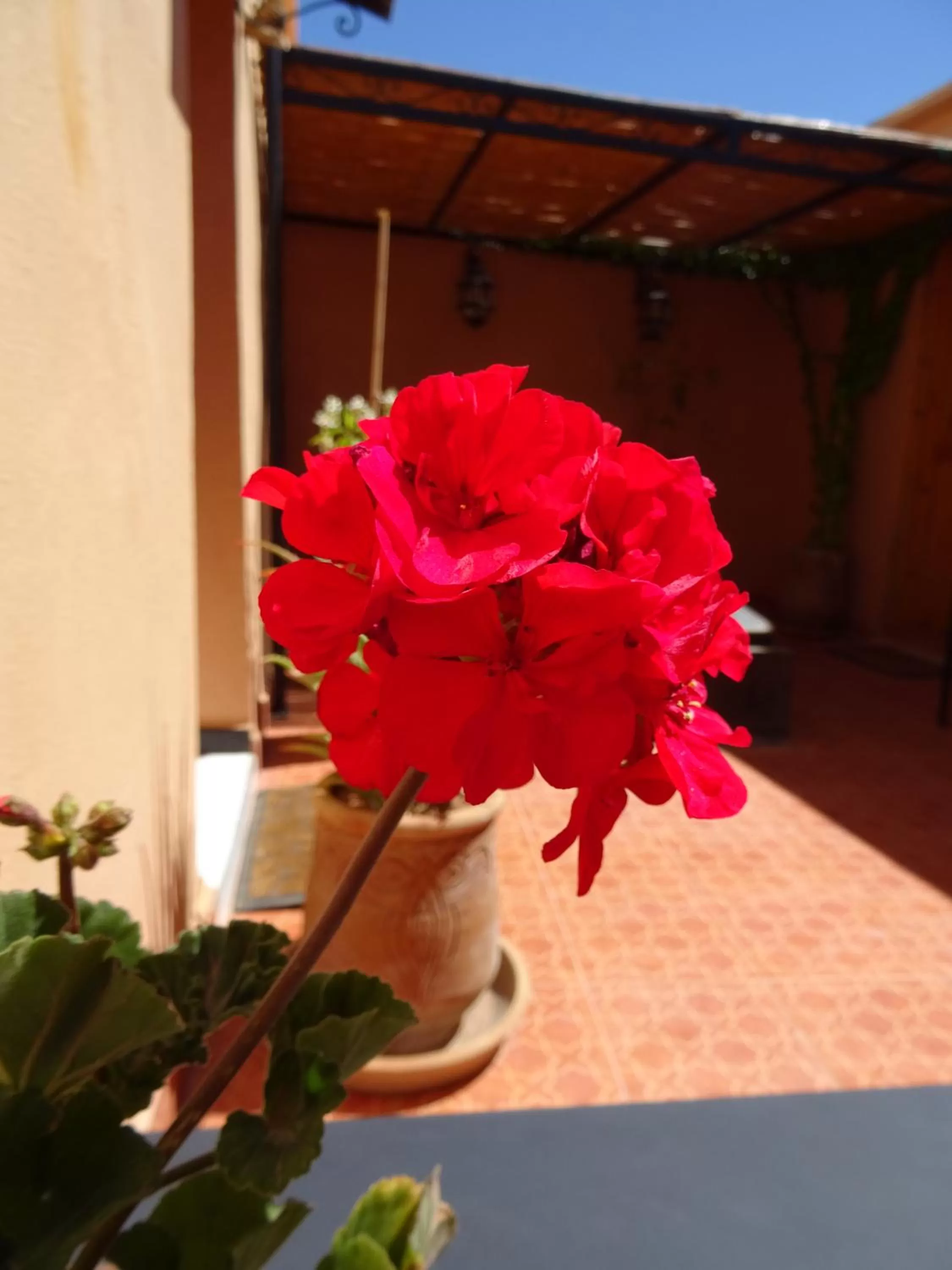 Other in Maison d'hôtes Dar El Nath