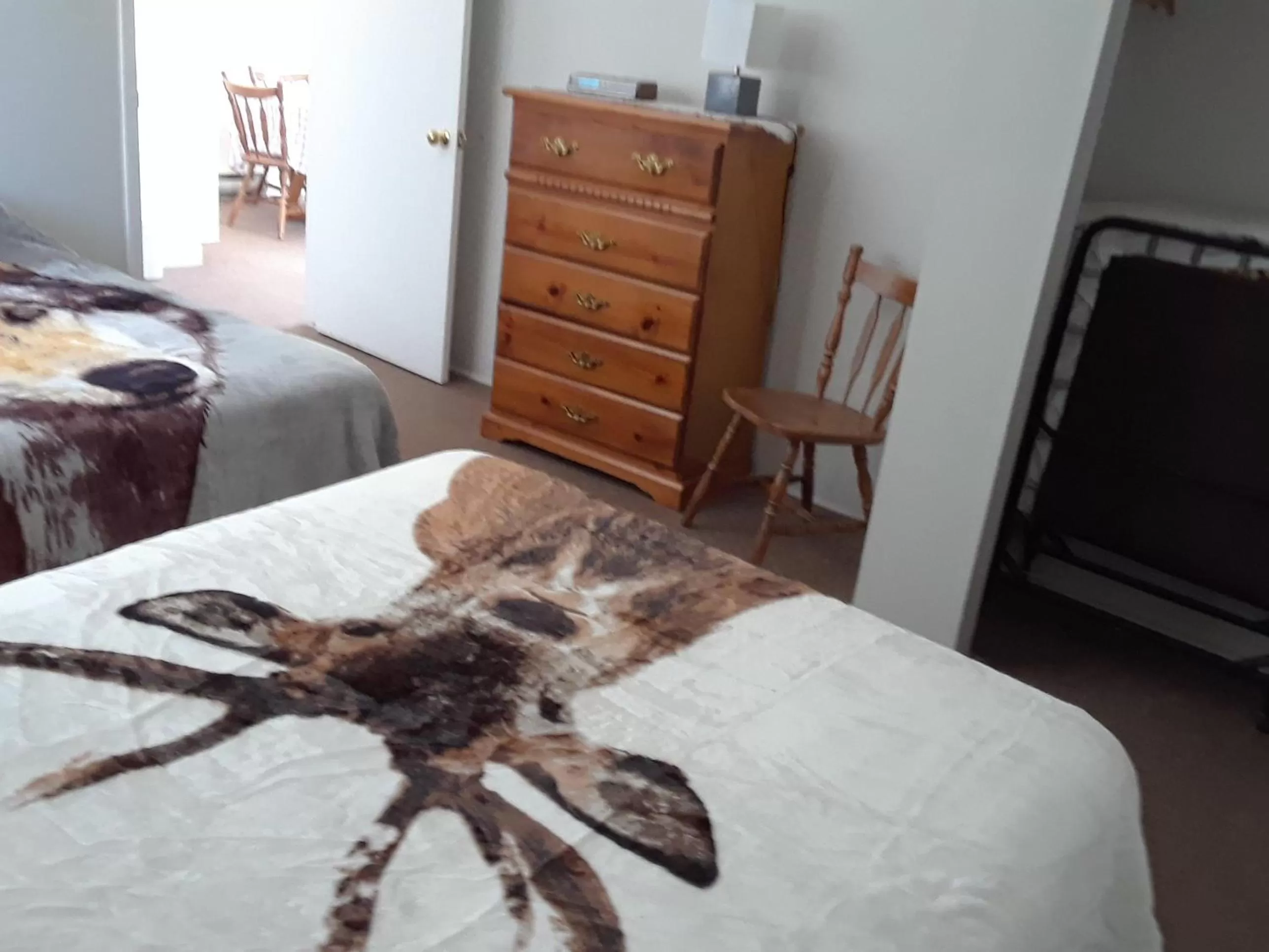 Bed in Mountain View Motel