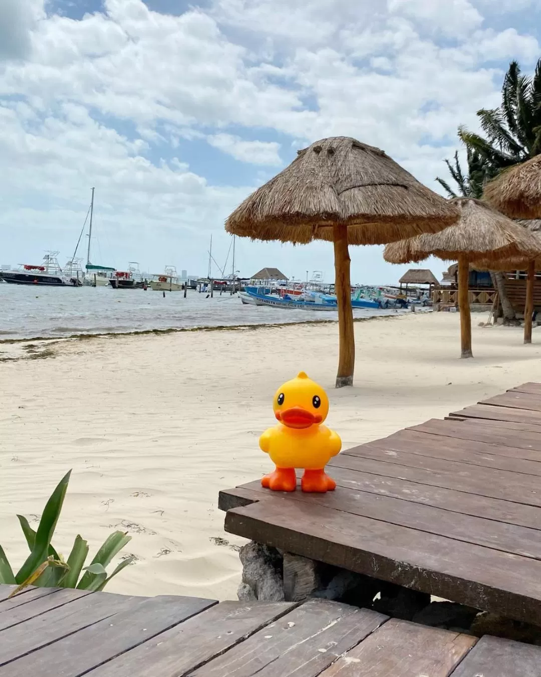 Beach in Lucky Duck PJ