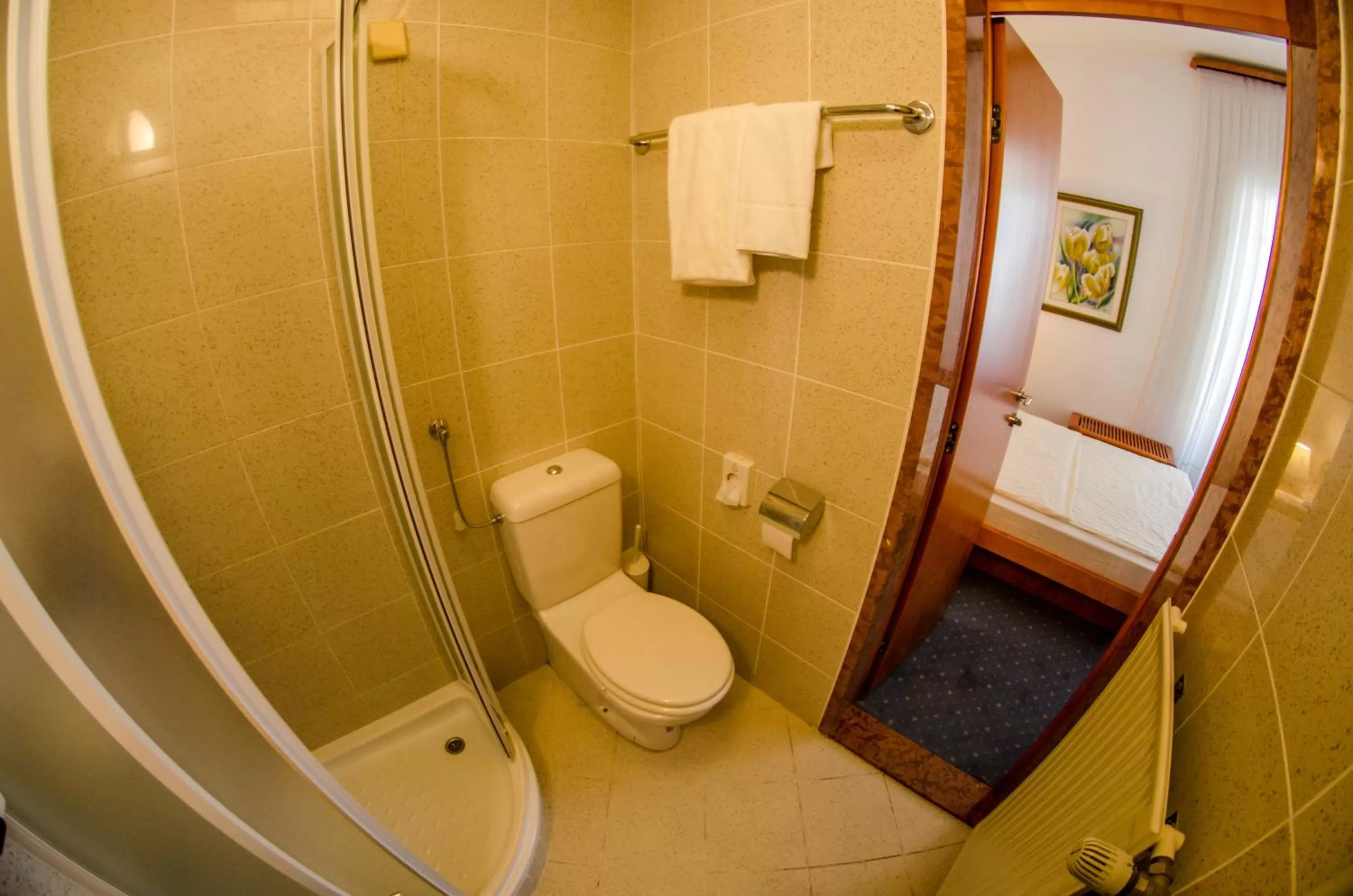 Bathroom in Rooms Savinja