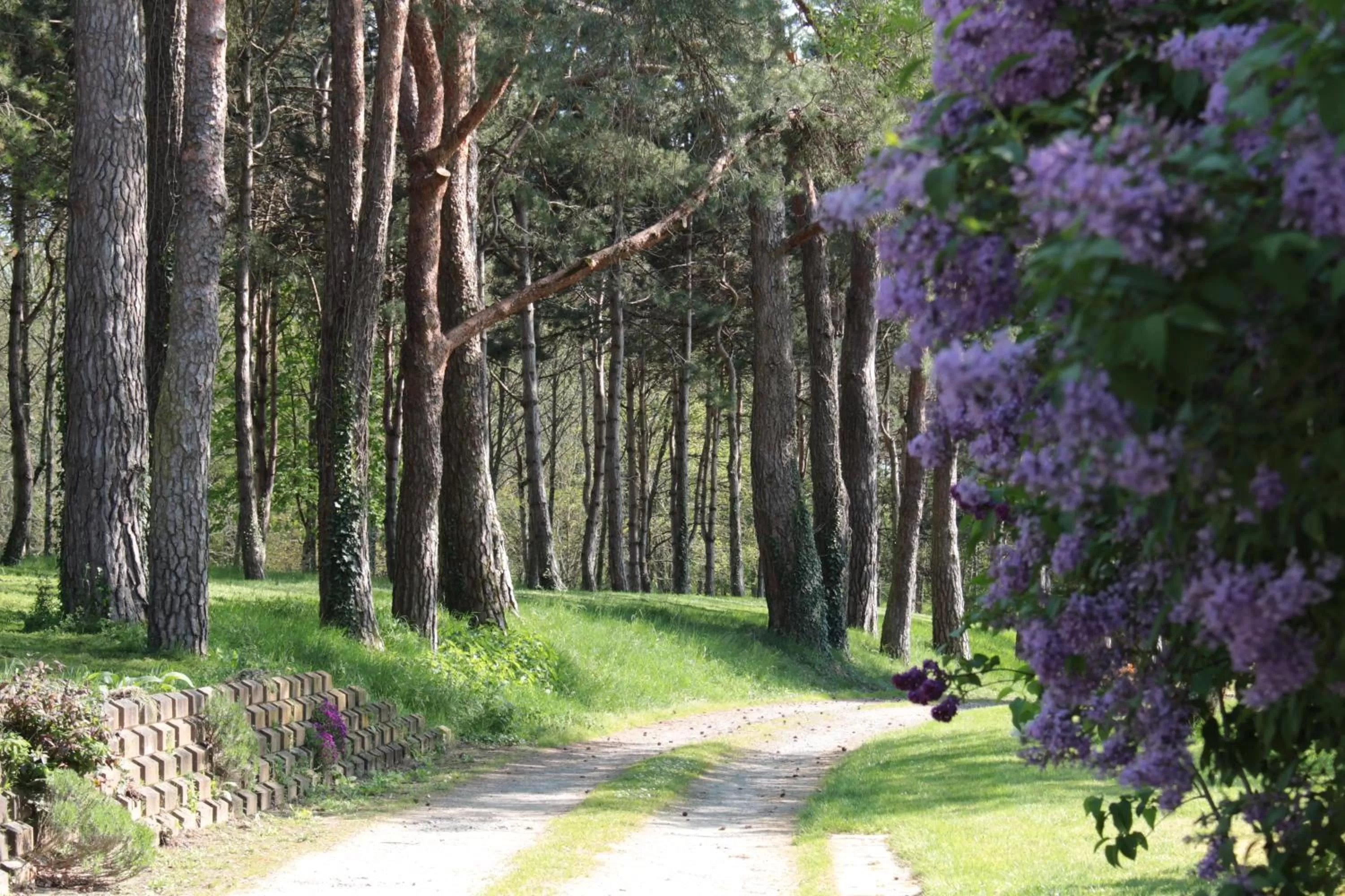 Natural landscape in La Poignardière