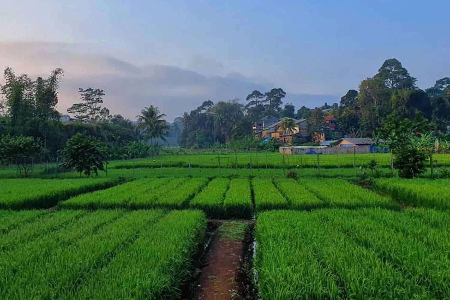 Other in Amanuba Hotel & Resort Rancamaya