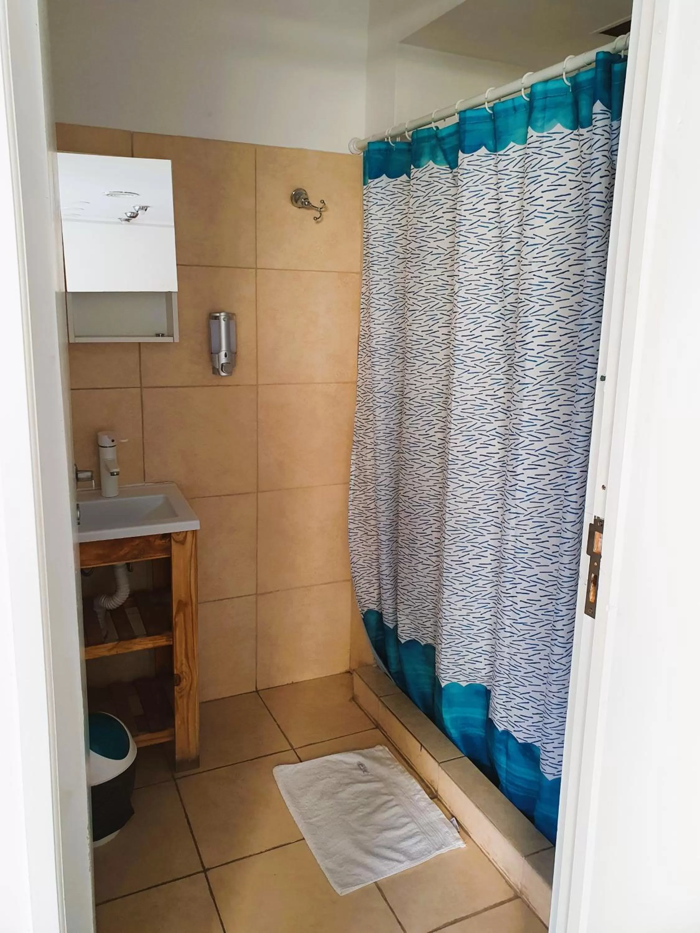 Bathroom in Habitaciones en Casa con piscina en Palermo Soho!