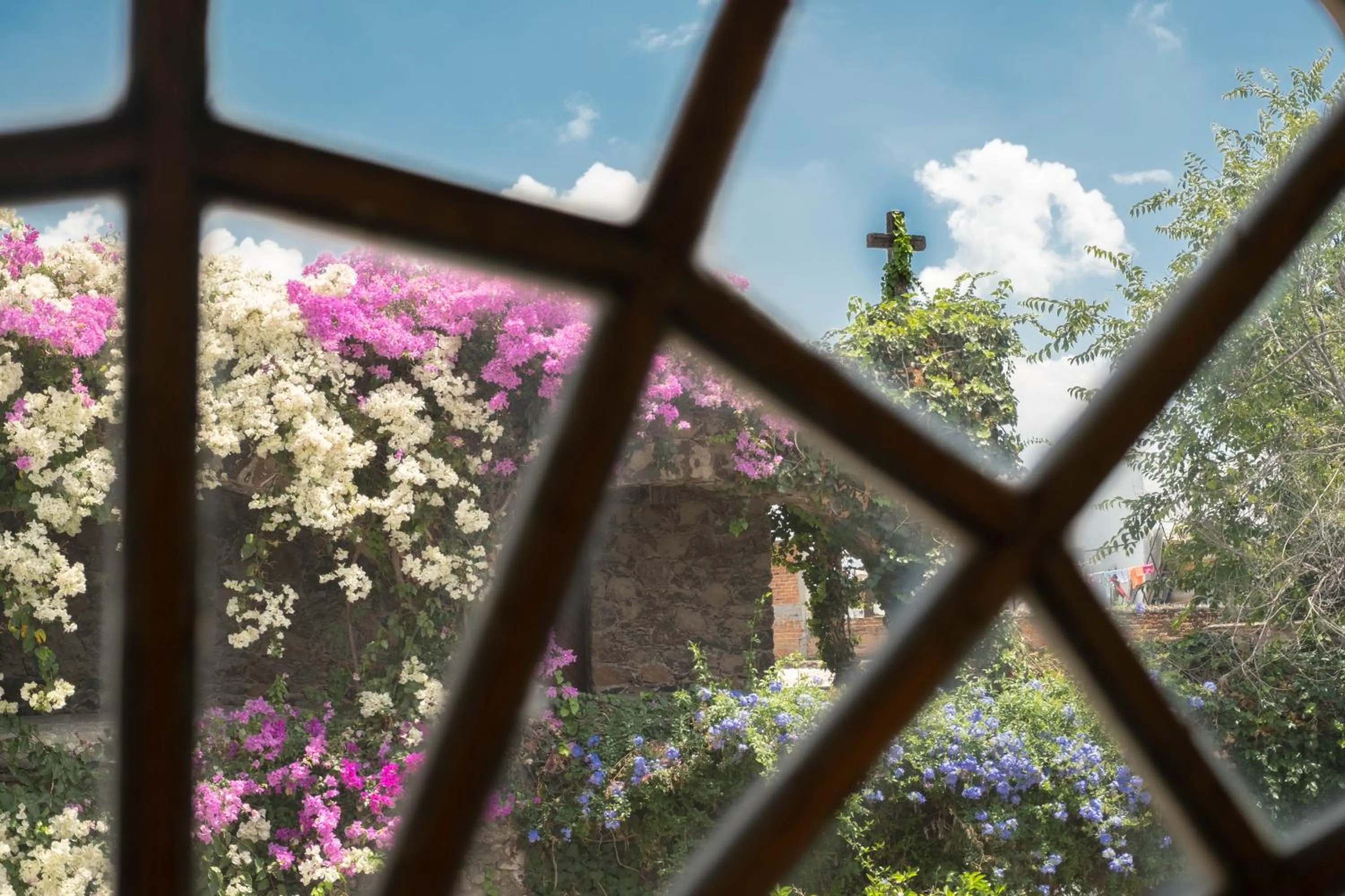 Spring in Hotel Layseca