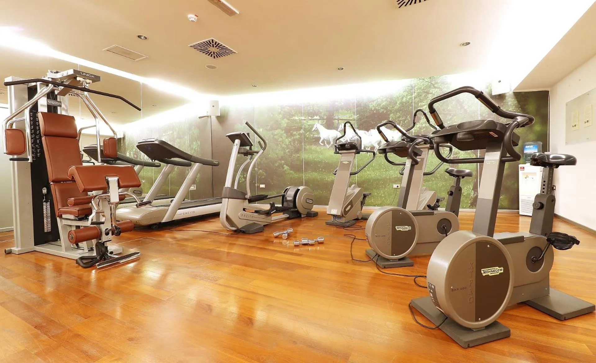 Fitness centre/facilities in Grand Hotel Bernardin