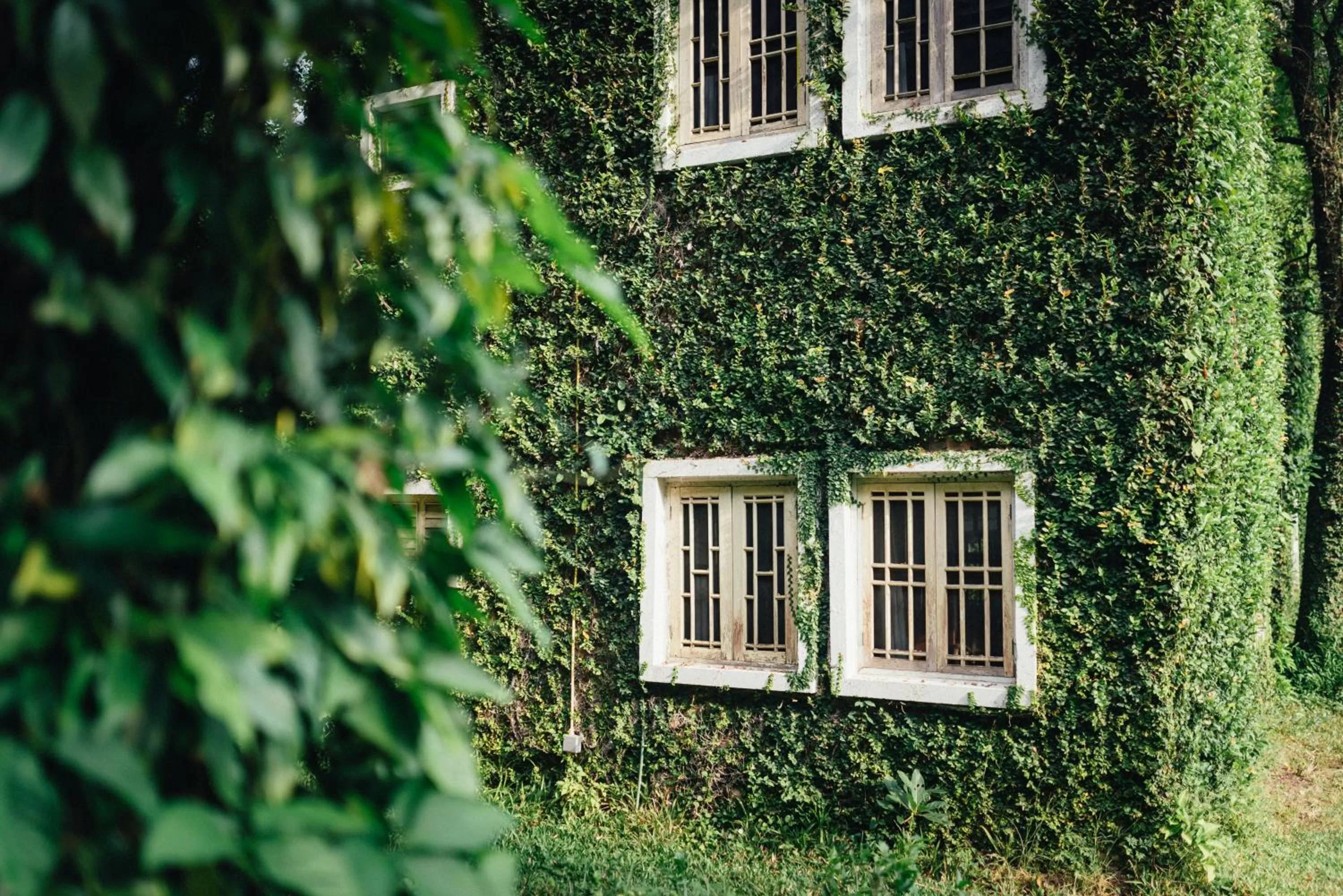 Property building in Kaomai Lanna Resort