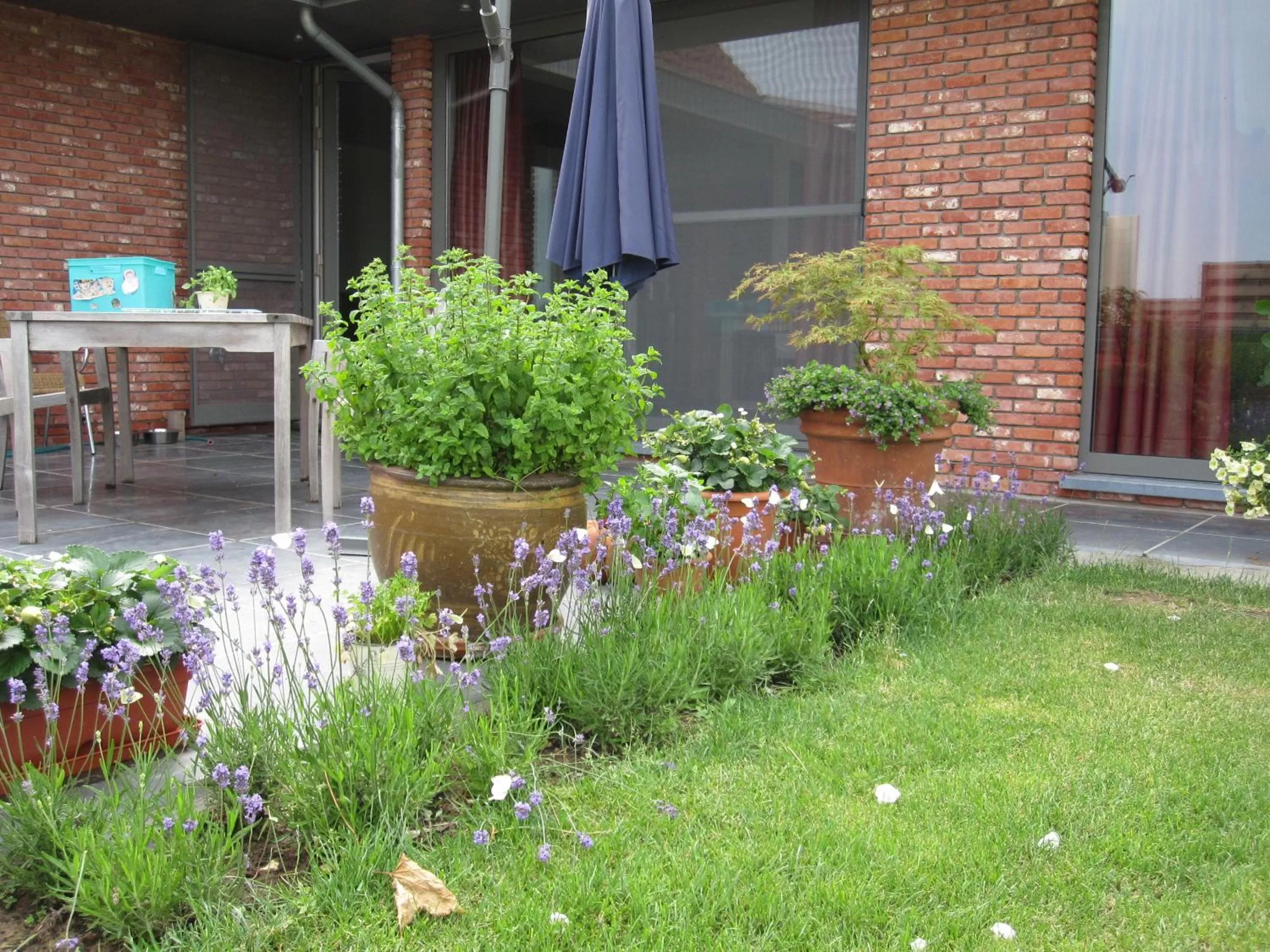 Garden in B&B Herberg Boerenhol