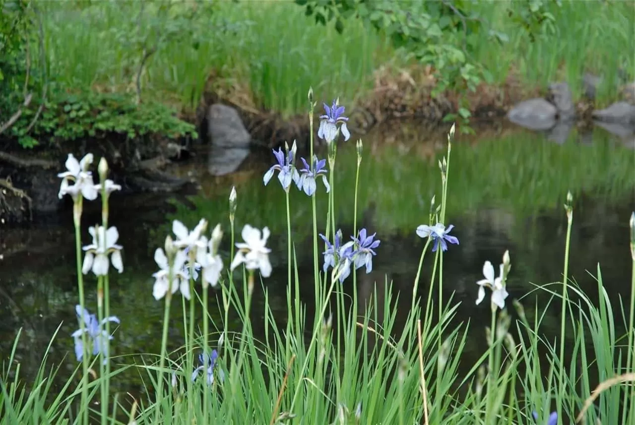 Riversong Inn Retreat