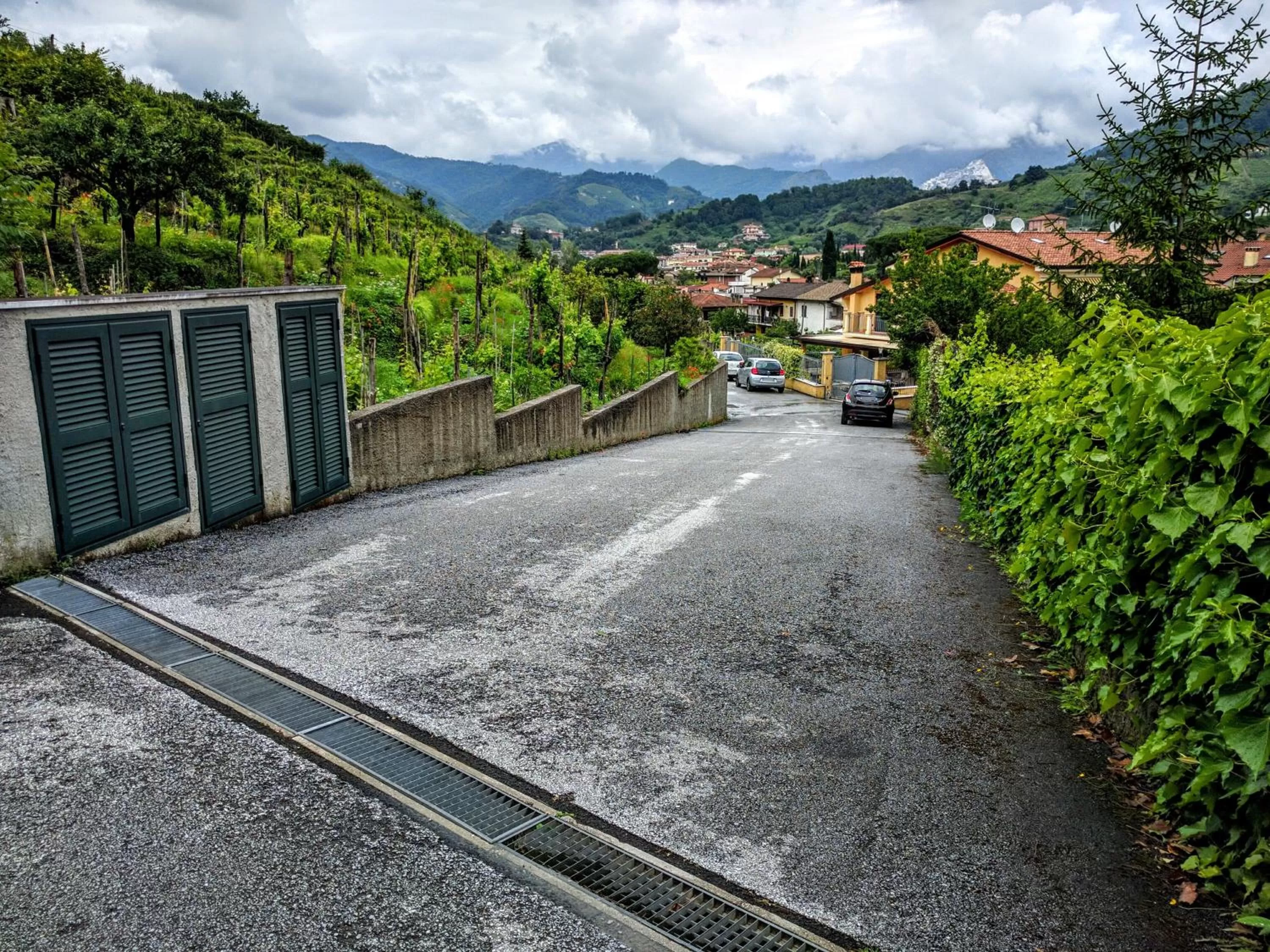 Spring in Sally's B&B