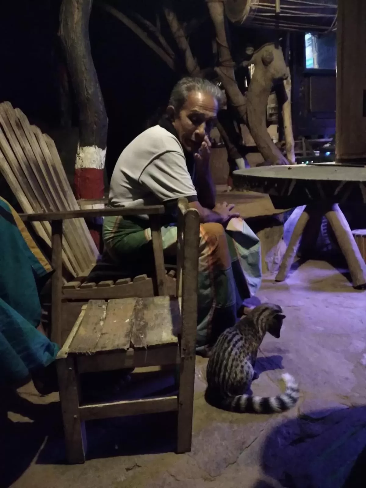 Jungle river humbhaha hostel