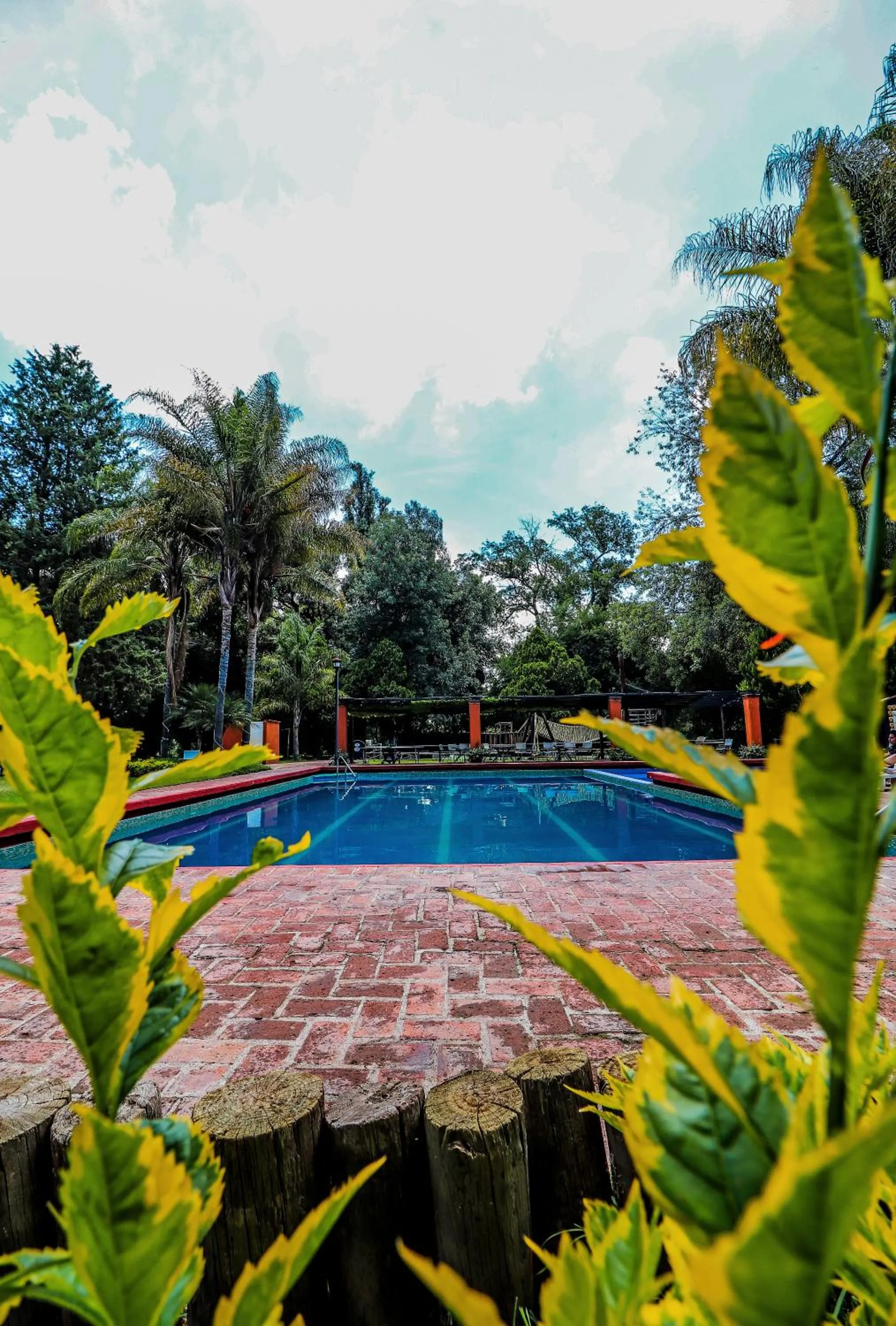 Pool view in El Marques Hacienda