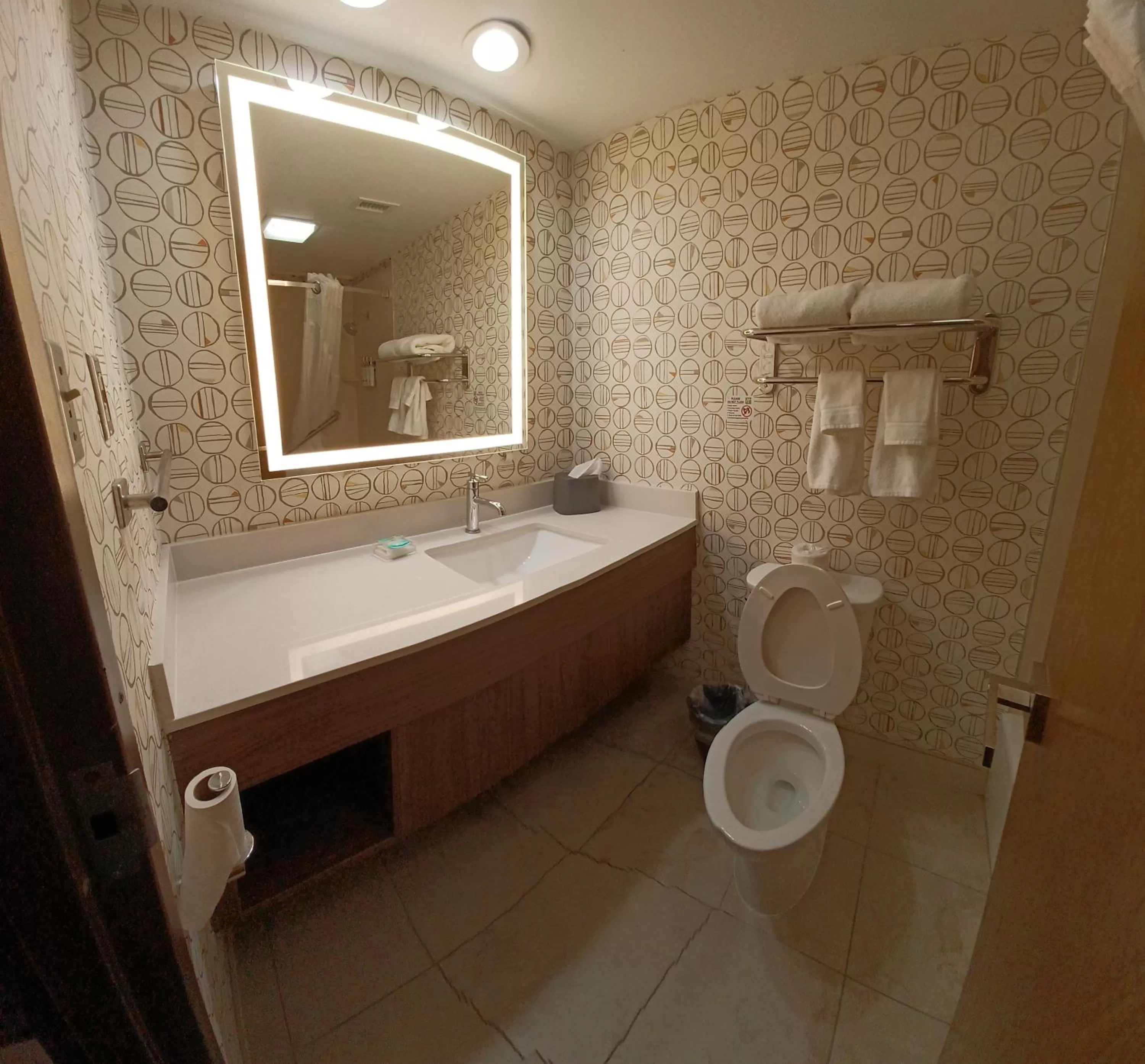 Bathroom in Holiday Inn - McAllen - Medical Center Area by IHG
