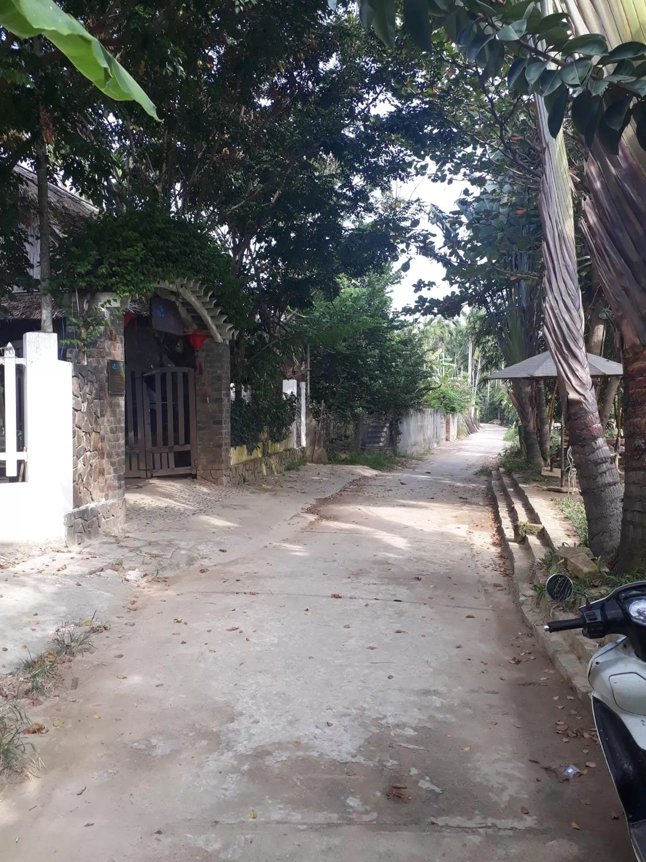 Neighbourhood in Pink Tulip Hoi An
