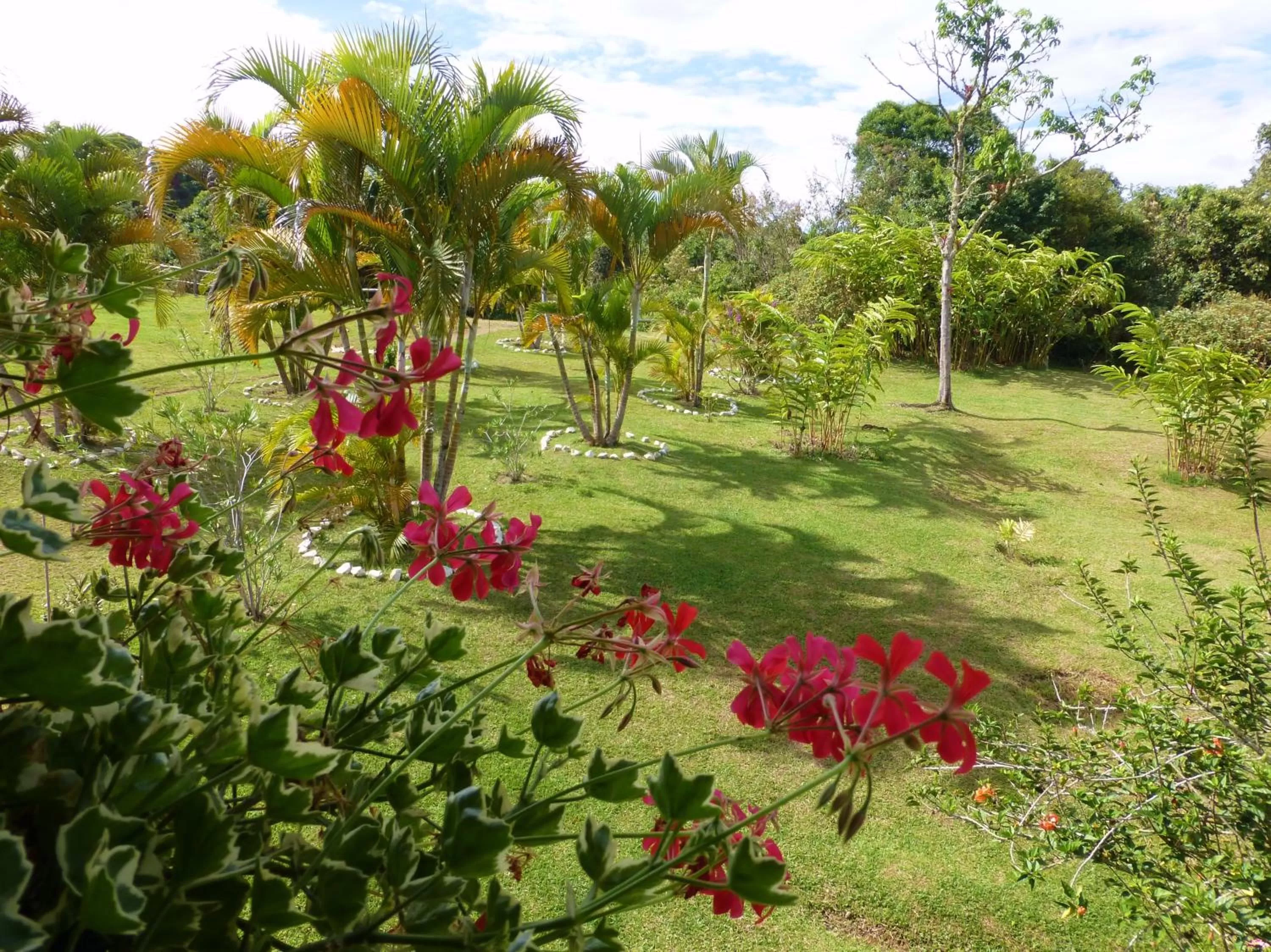 Garden in Finca El Cielo