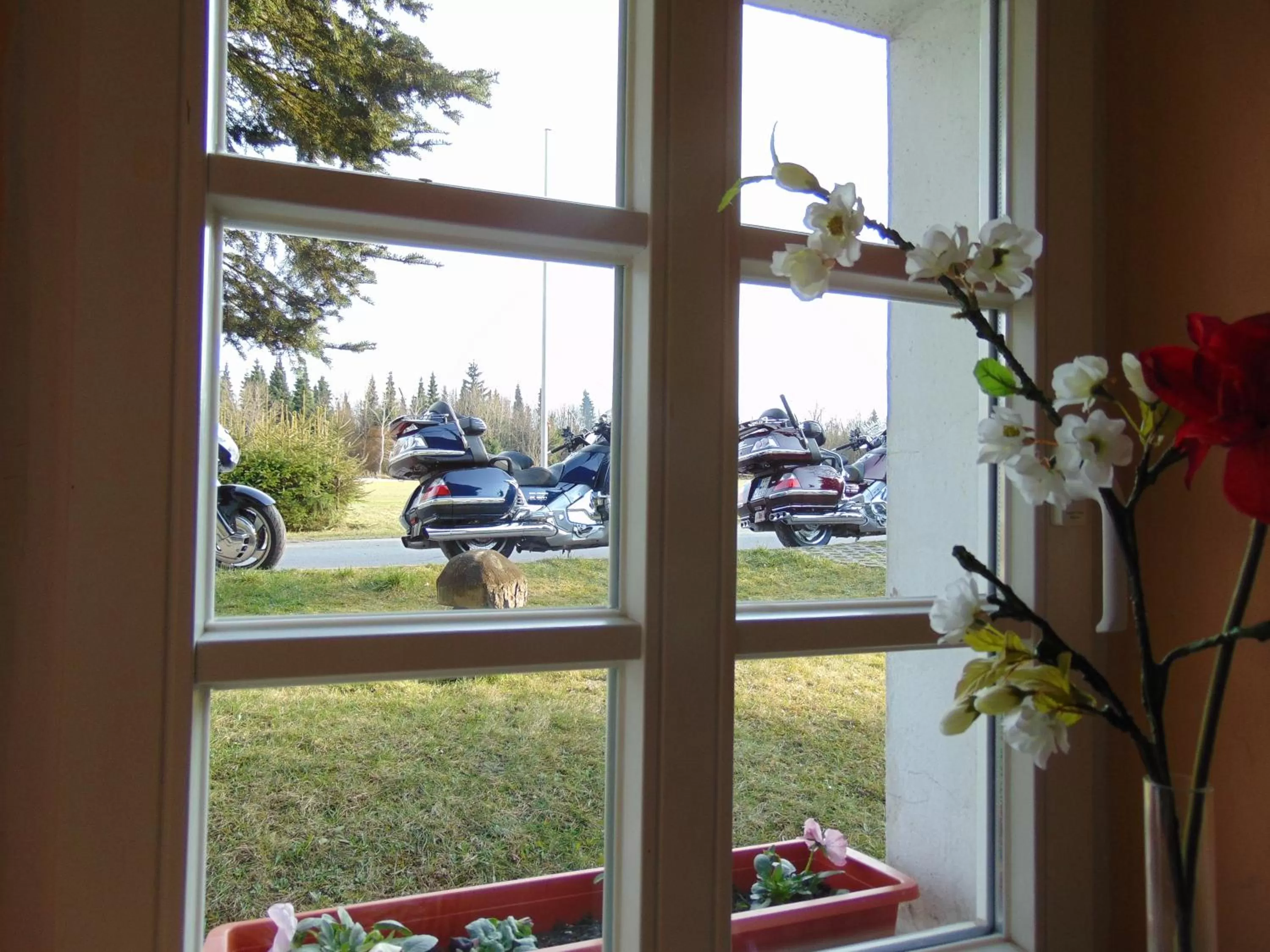 Natural landscape in Waldgasthof Bad Einsiedel