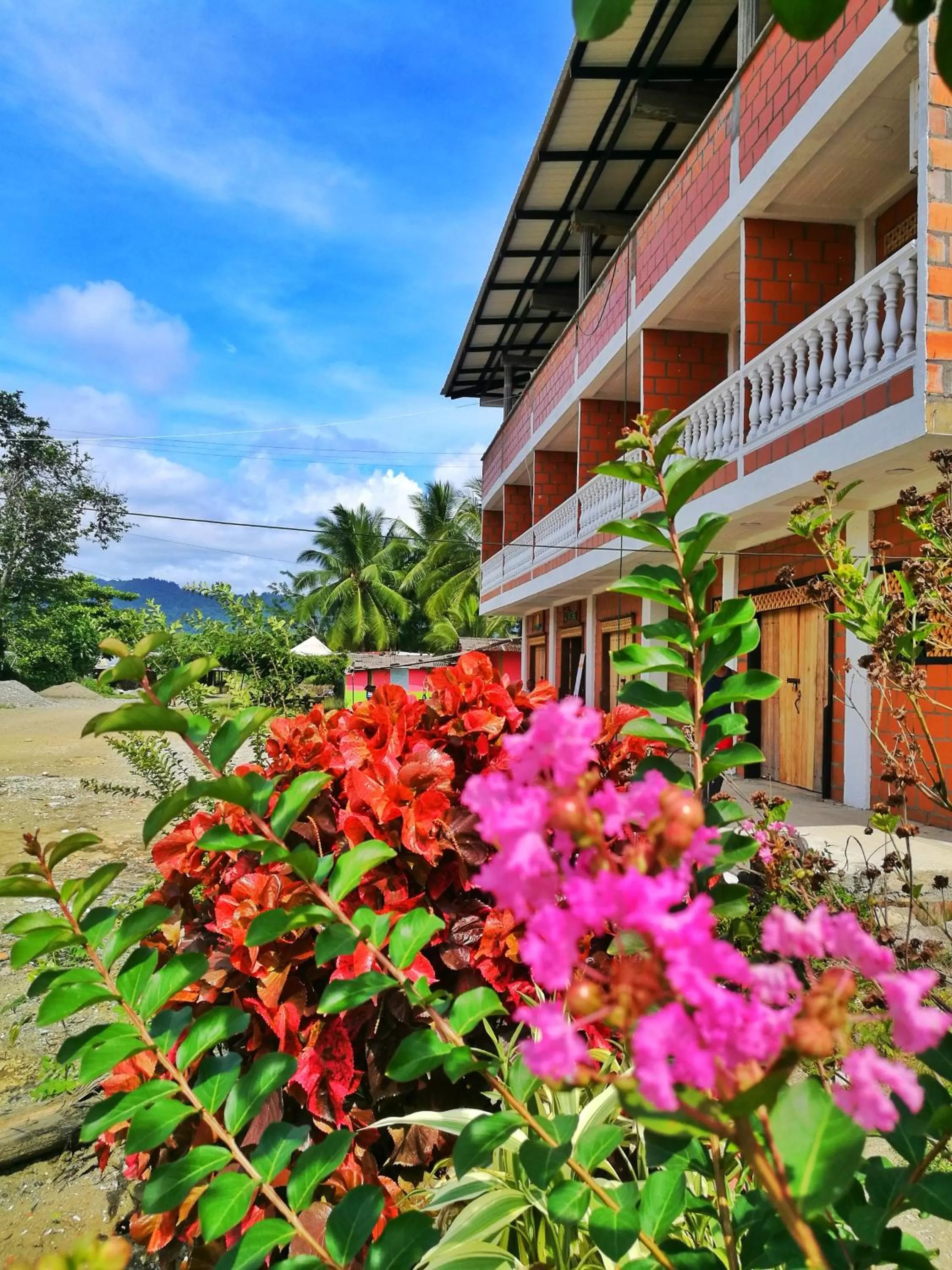 Property Building in Hotel Acuali Nuqui