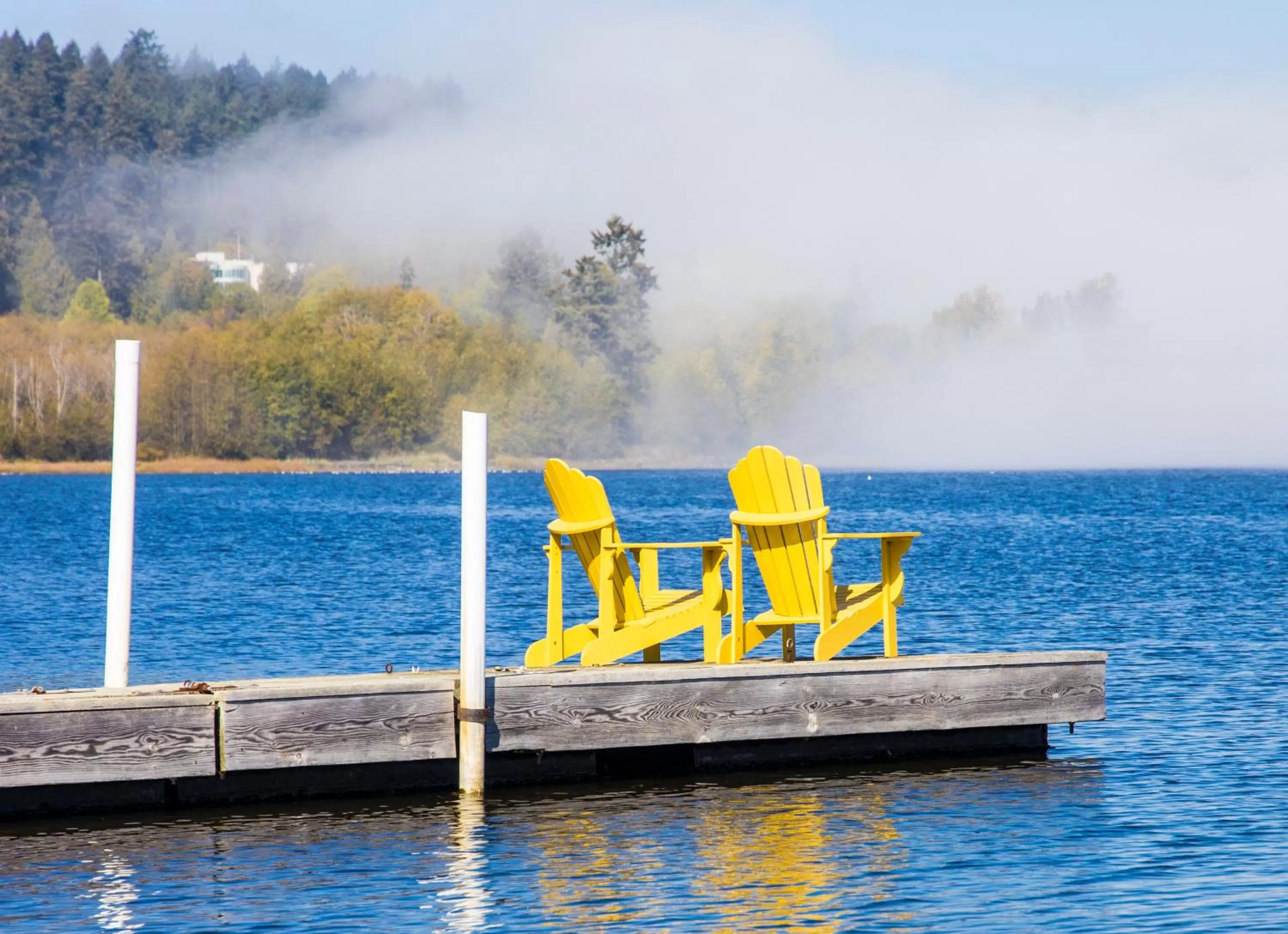 View (from property/room) in Birds of a Feather Victoria Oceanfront Studio Suites