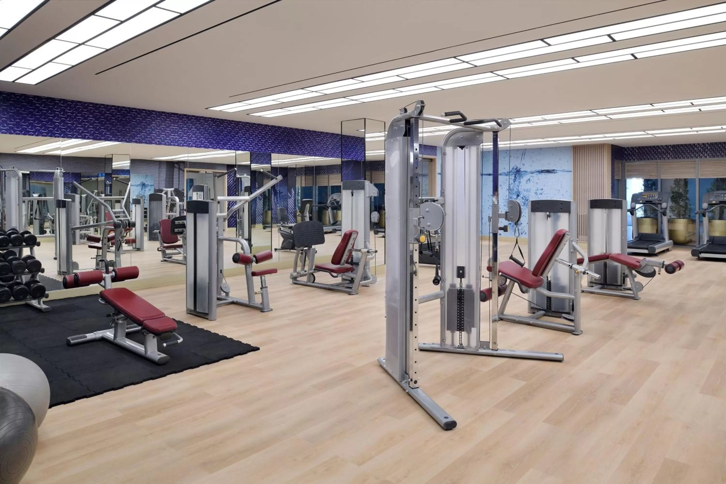 Fitness centre/facilities in Delta Hotels by Marriott Dubai Investment Park