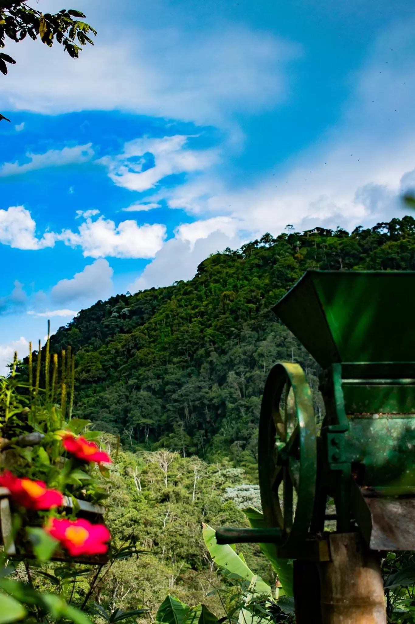 Villa Cristina - Casa Boutique