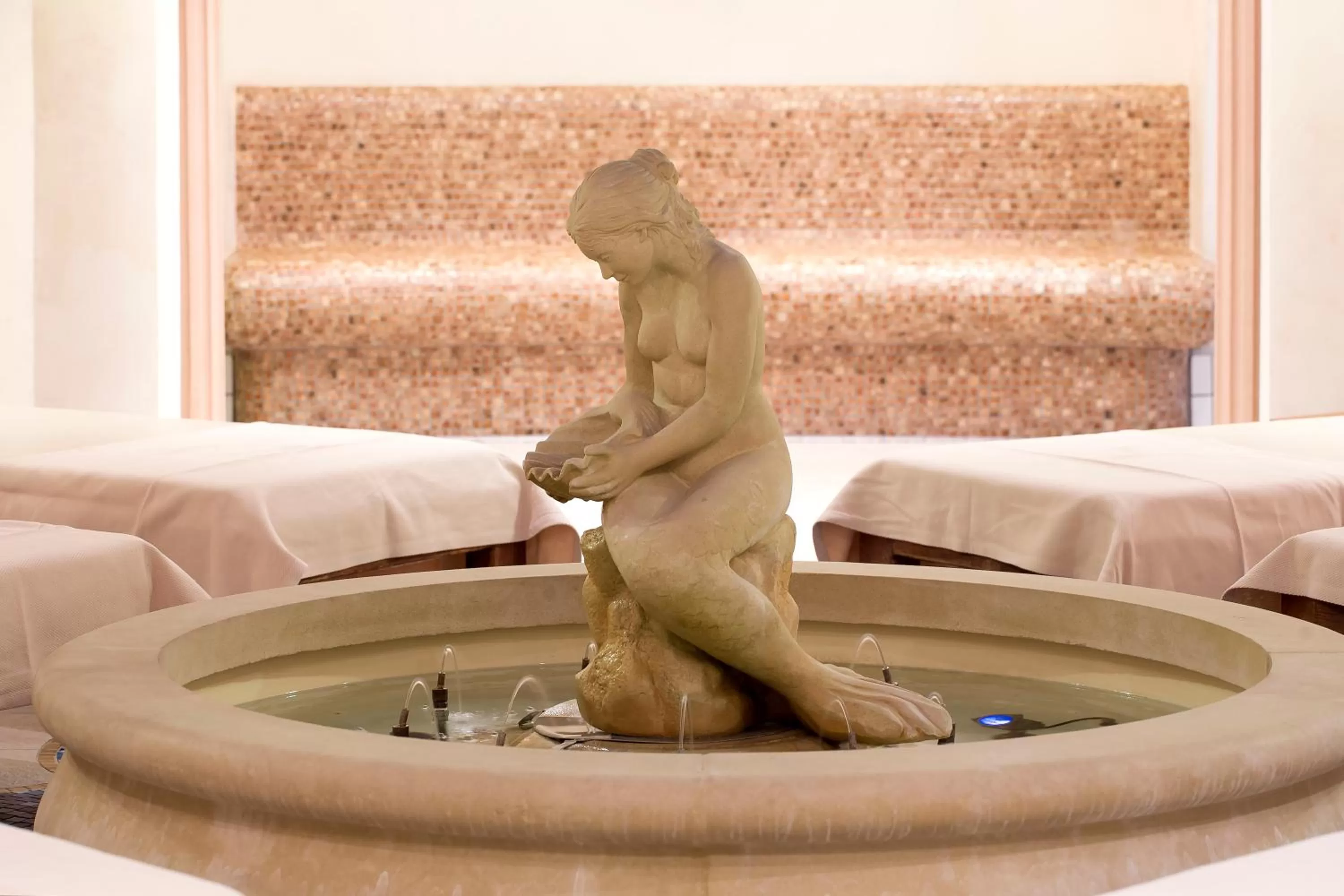 Swimming pool in Hotel Król Kazimierz