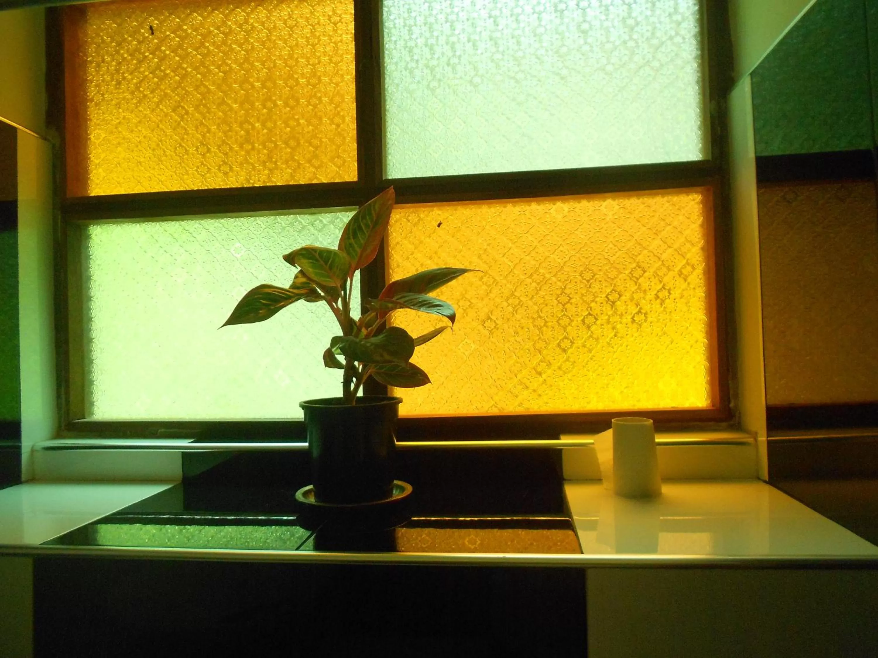 Other in Resort Beam