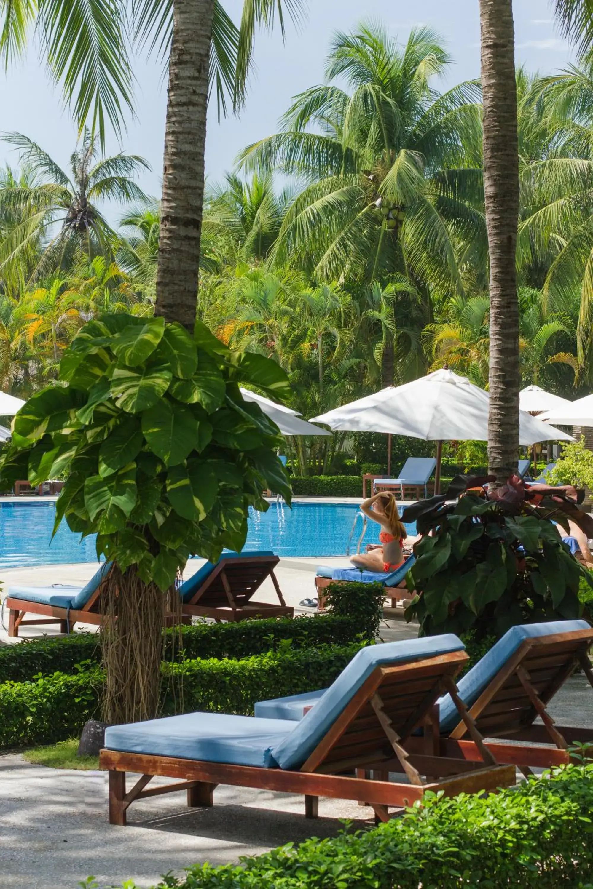 Blue Ocean Resort Blue Ocean Resort