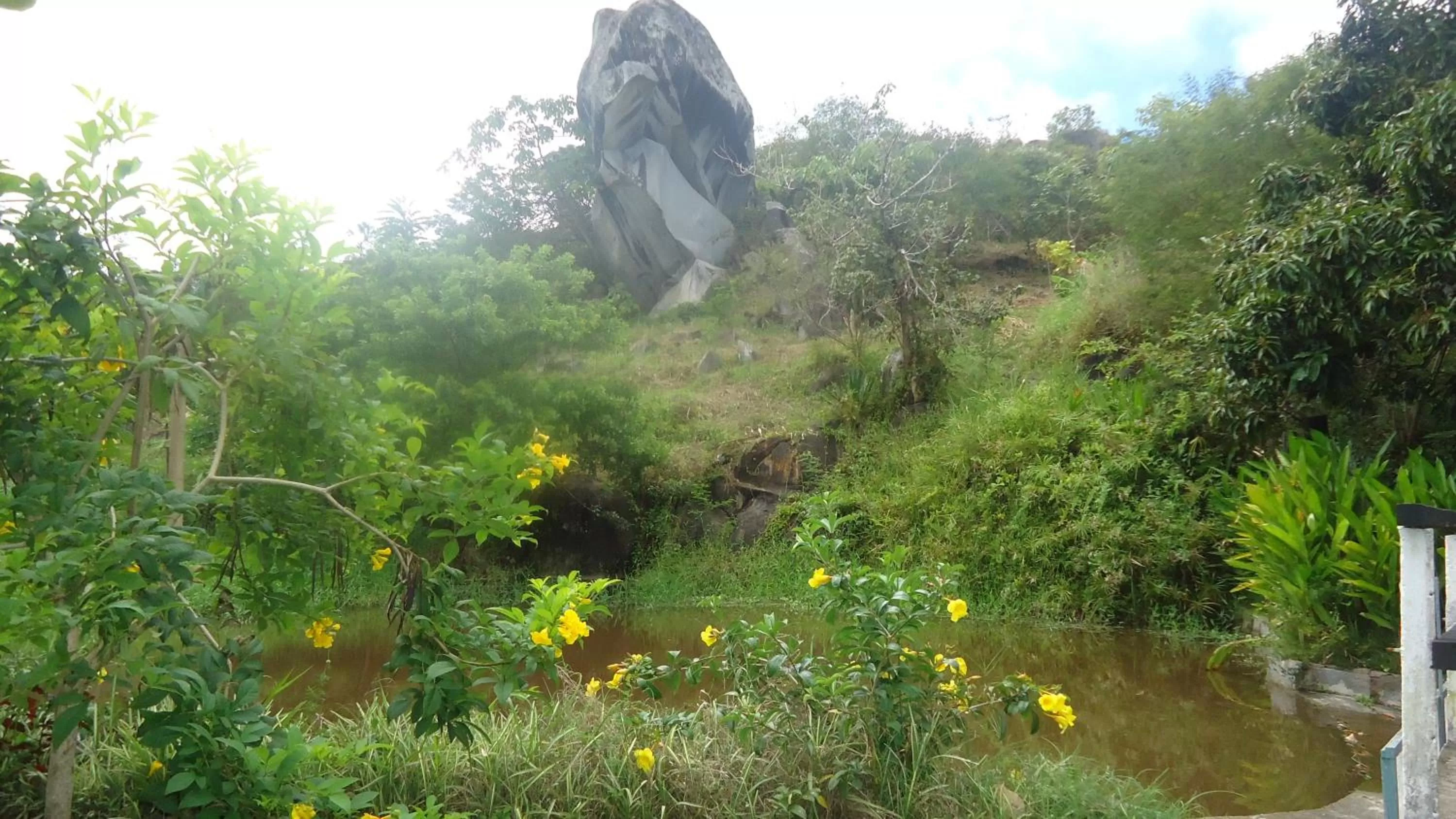 Fishing in Pousada Aba da Serra