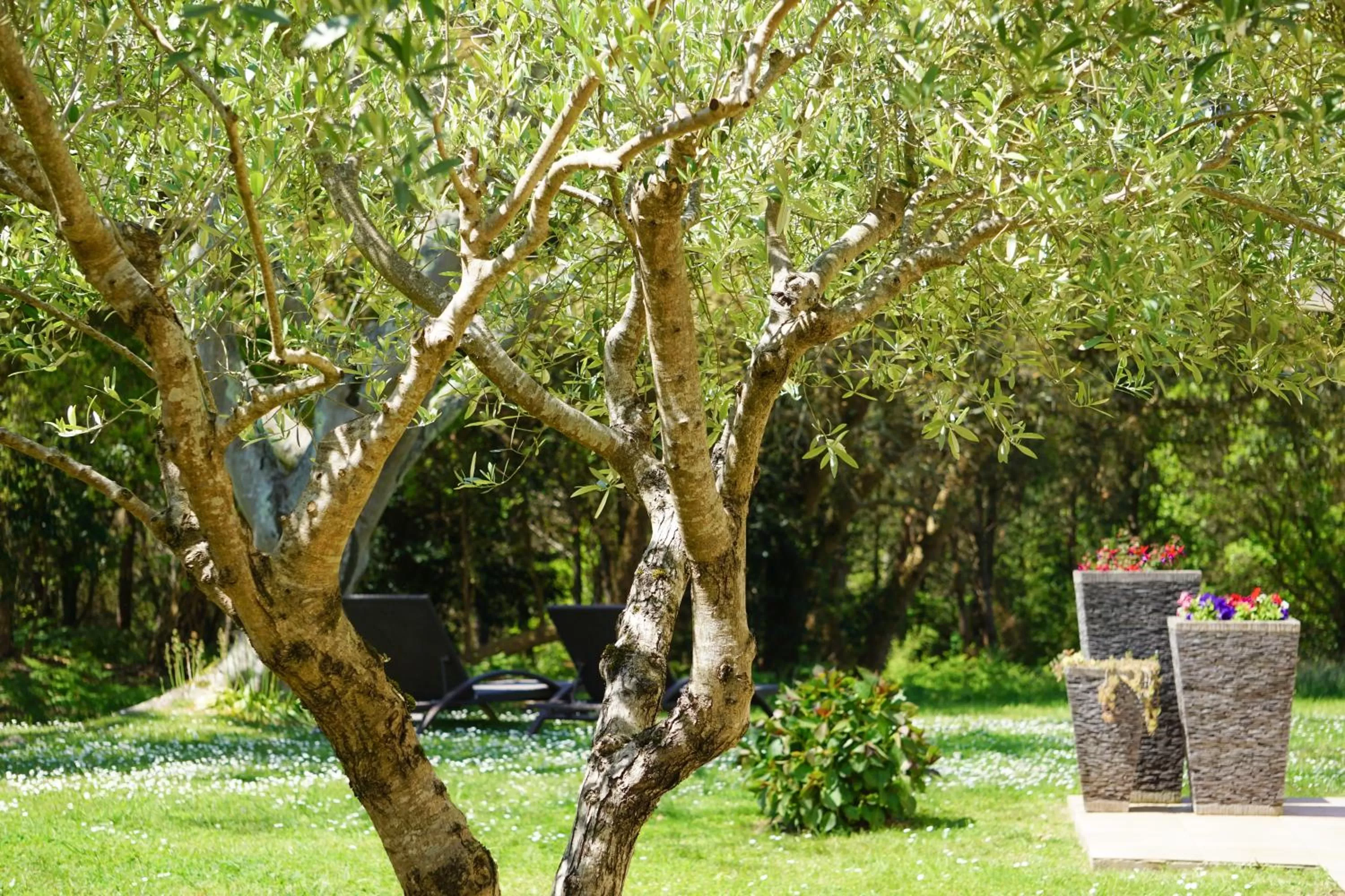 Property building in The Originals City, Hôtel Le Lodge, Ondres, Bayonne Nord