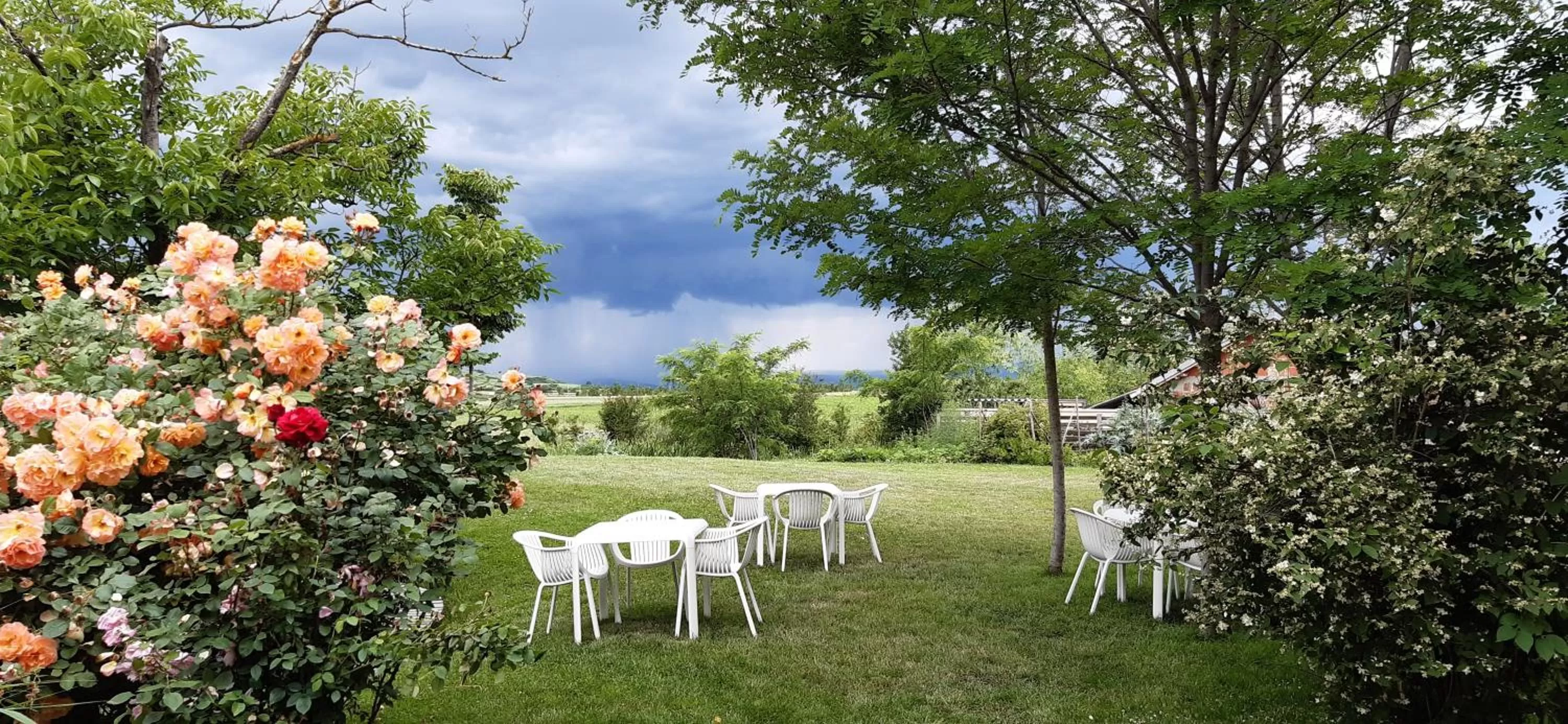 Restaurant/places to eat in Hotel Gracanica