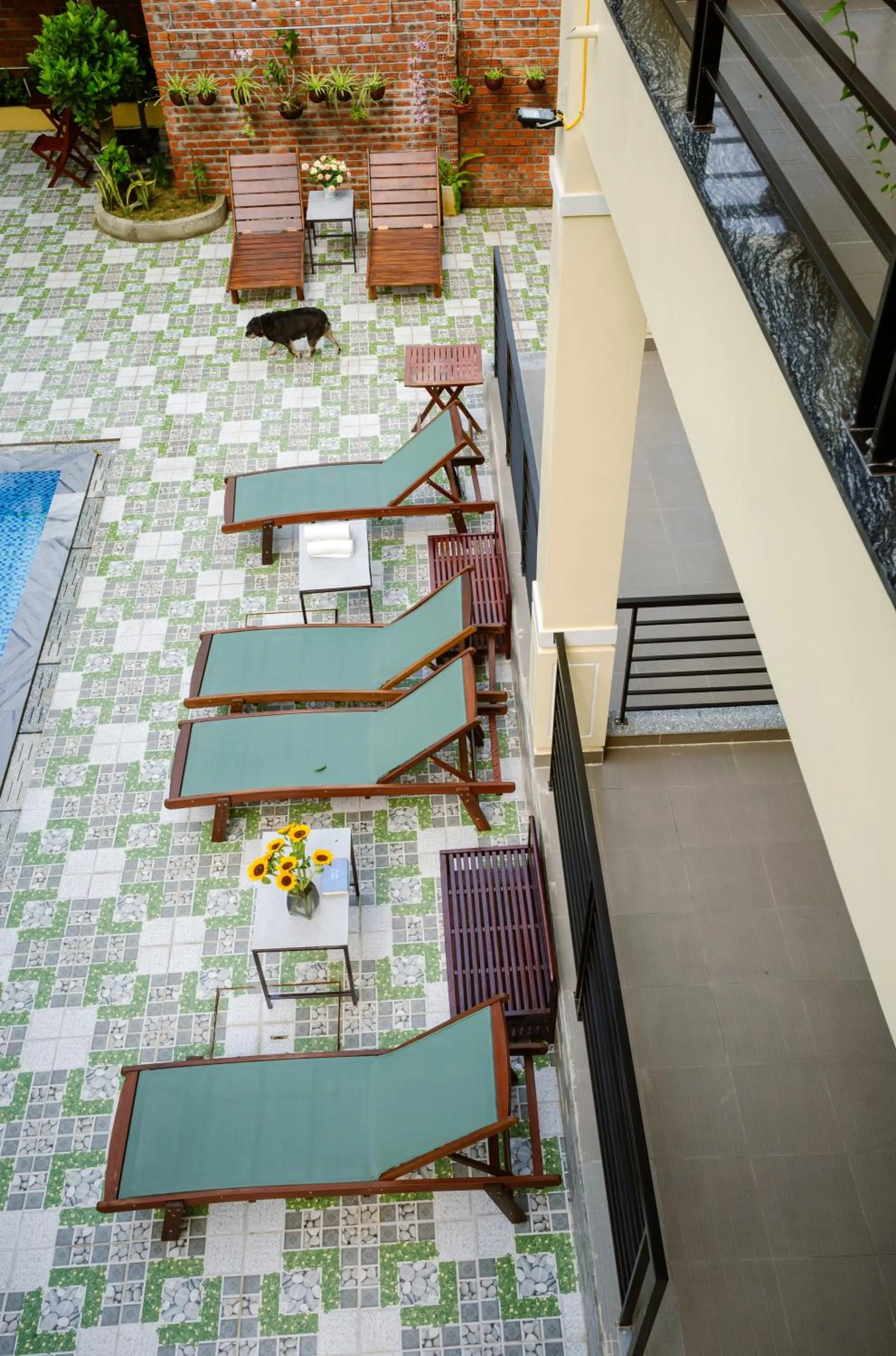 View (from property/room) in Windbell Villa Hoi An