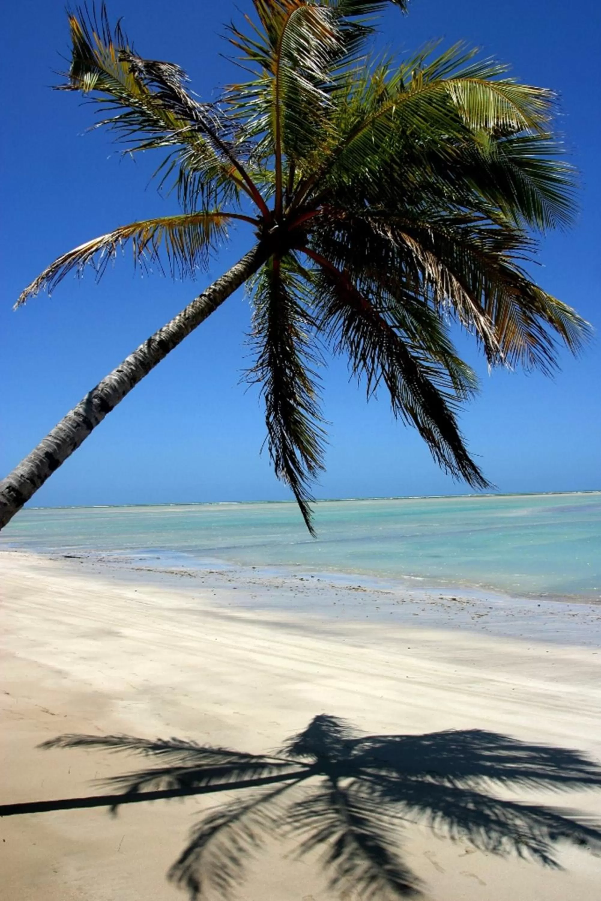 On site, Beach in Pousada Mariluz
