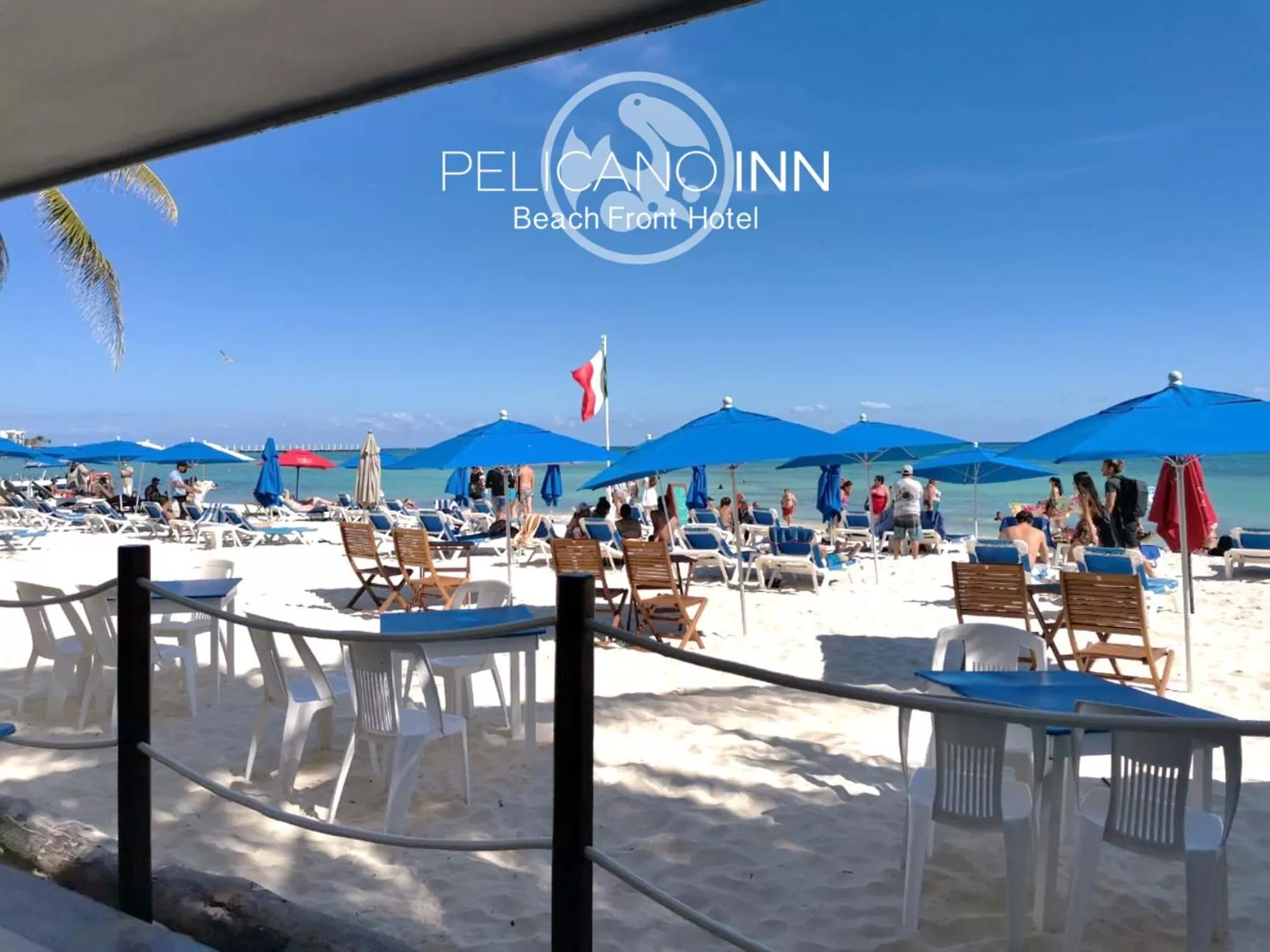 Restaurant/places to eat in Pelicano Inn Playa del Carmen - Beachfront Hotel