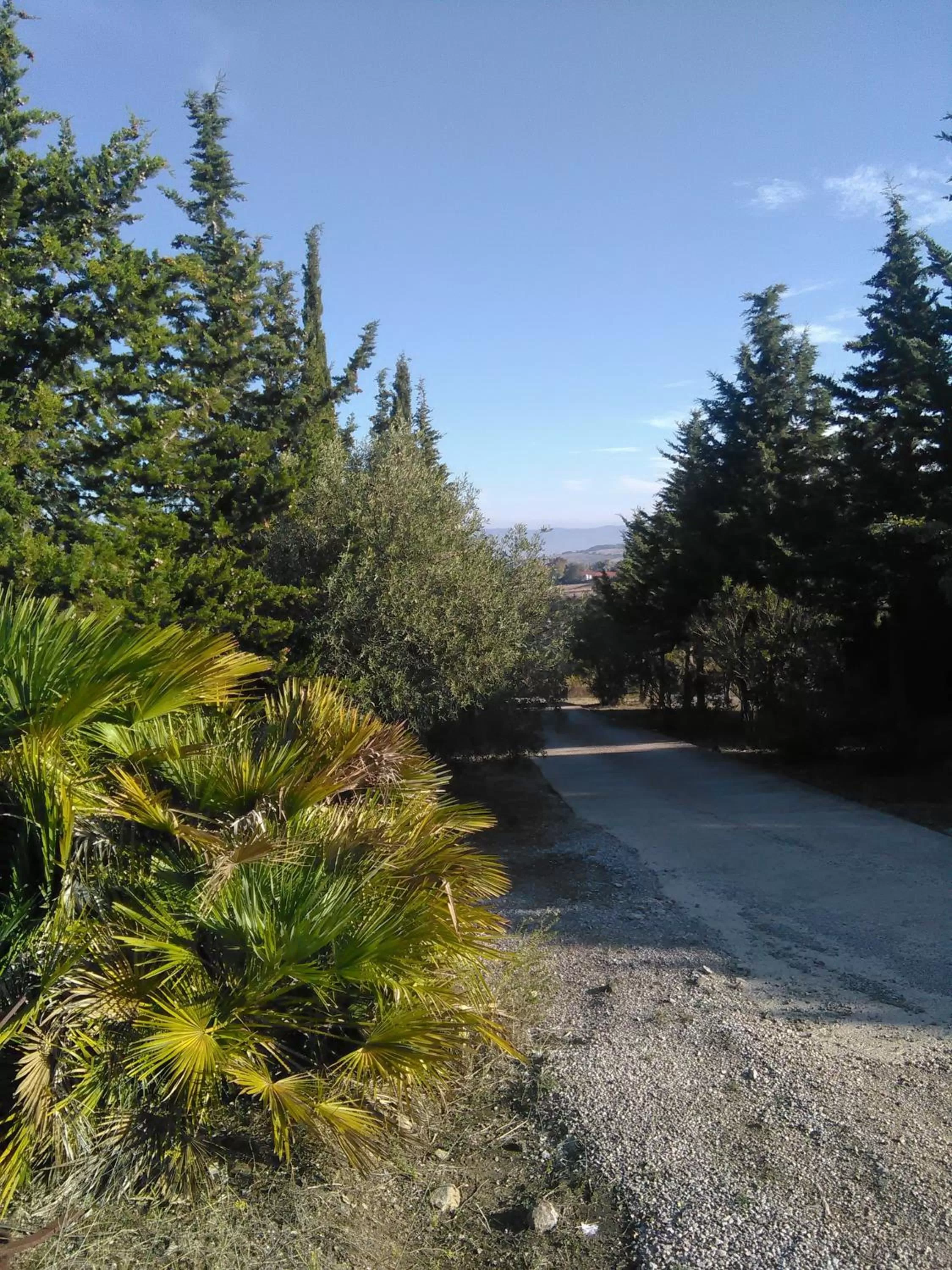 Garden view in Casa d' Artista B&B