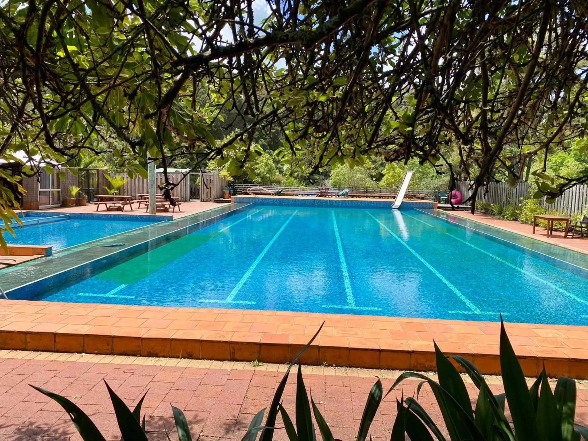 Swimming Pool in Kawai Purapura Yoga Retreat Centre