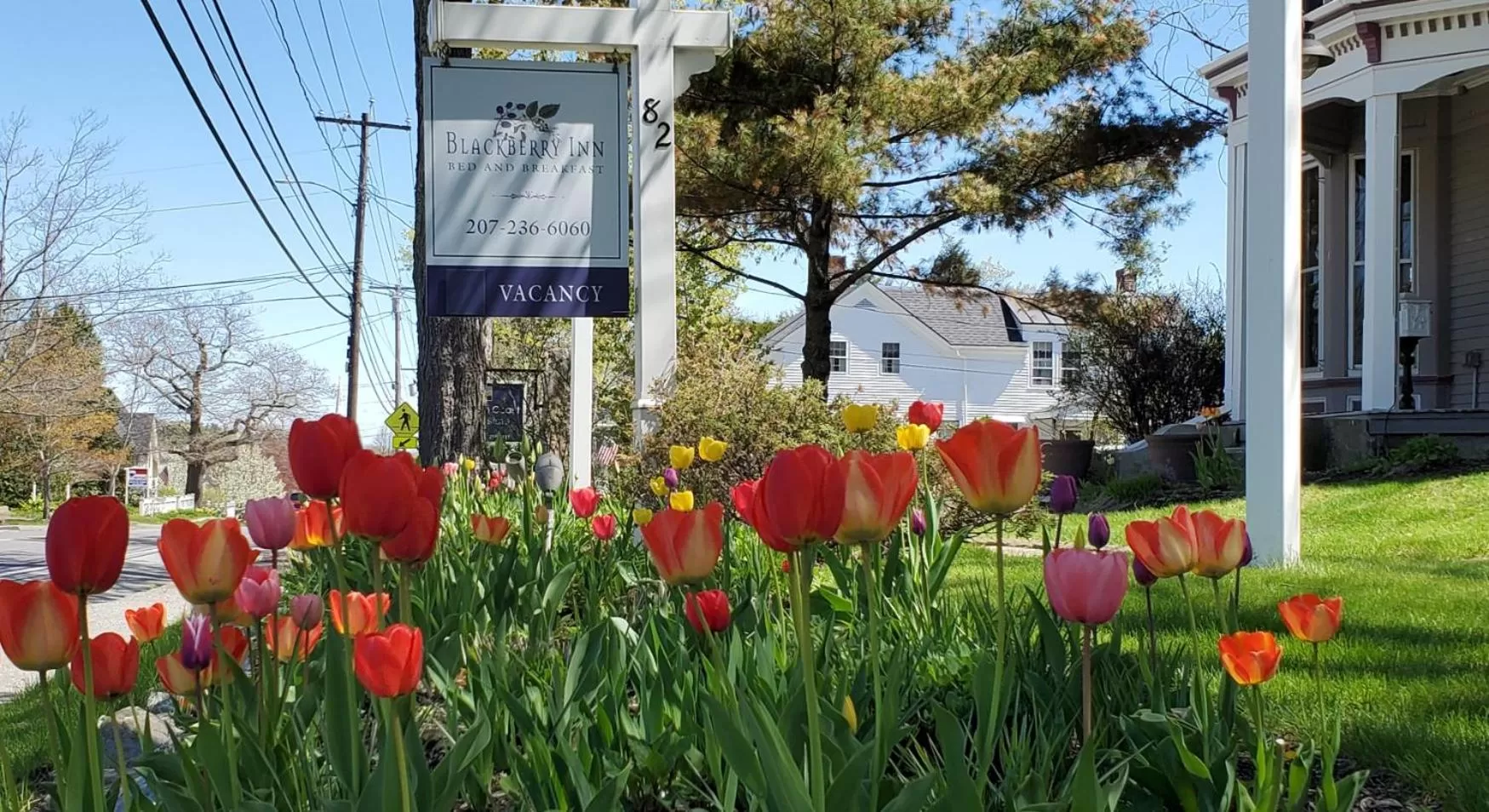 Property Building in Blackberry Inn