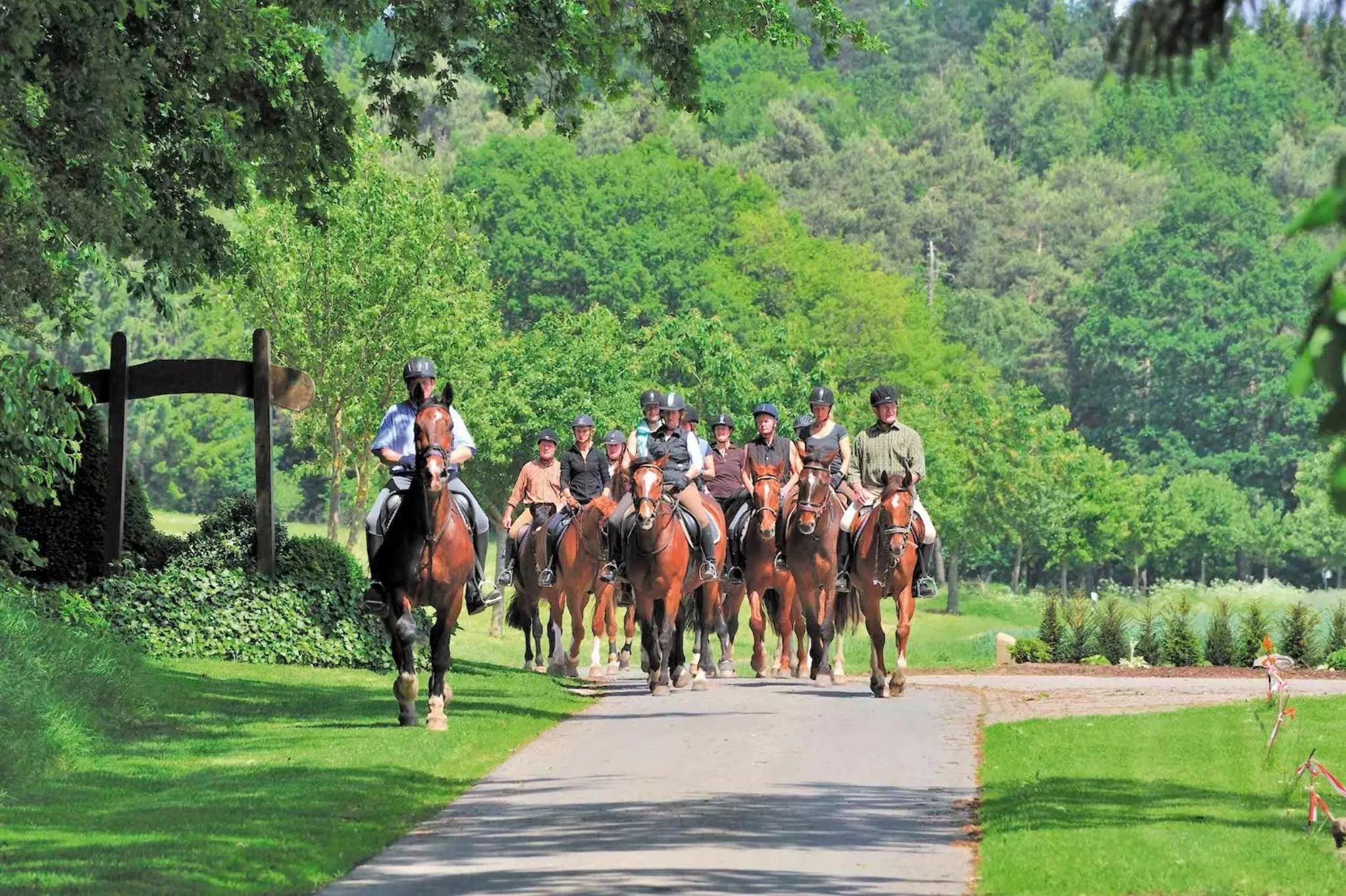 Natural landscape in Lindenhof Hotel Tepe