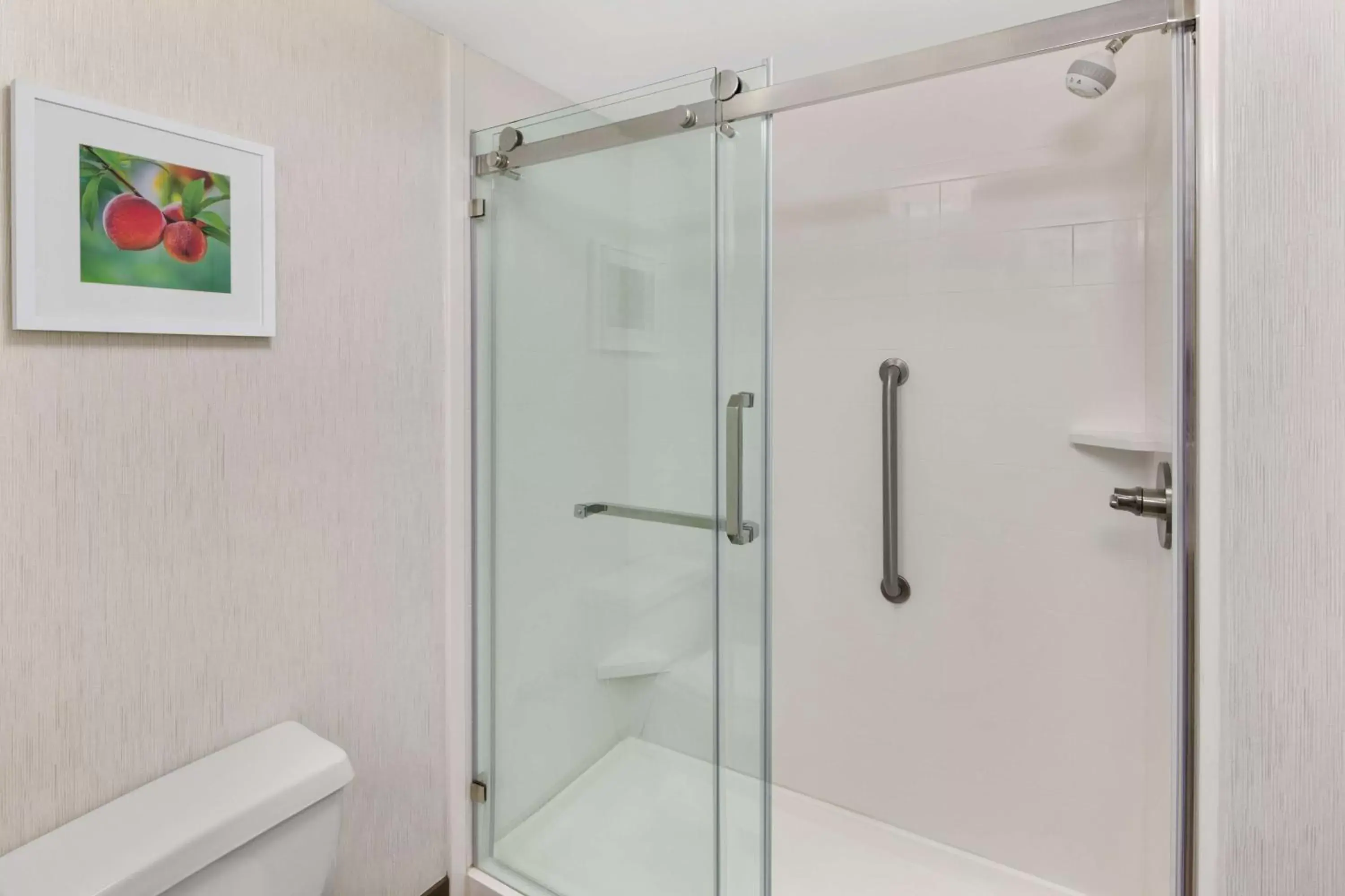 Double Room - Non-Smoking in Hampton Inn Lagrange near Callaway Gardens Double Room - Non-Smoking in Hampton Inn Lagrange near Callaway Gardens