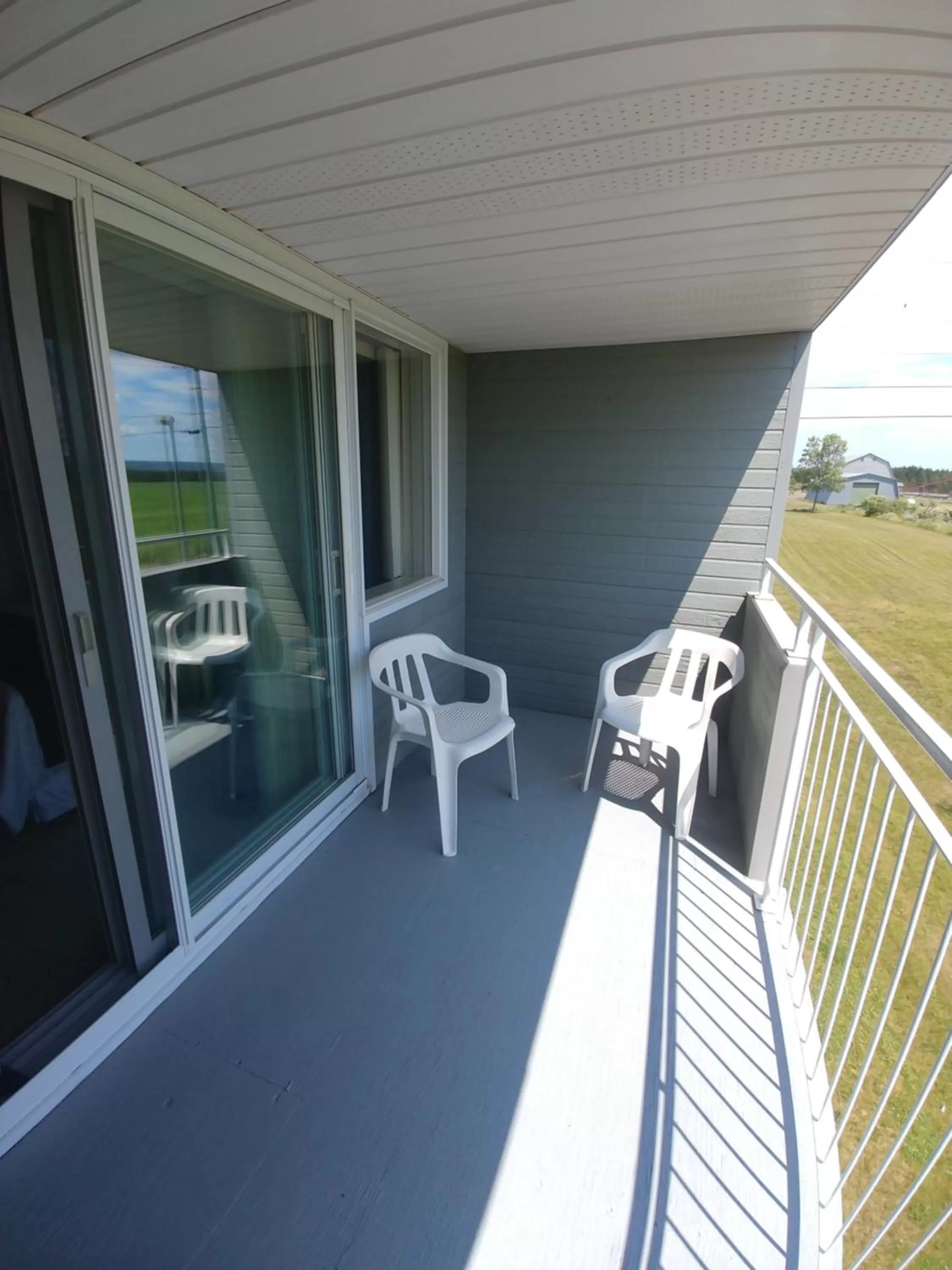 La Baleine Endiablée Microbrasserie