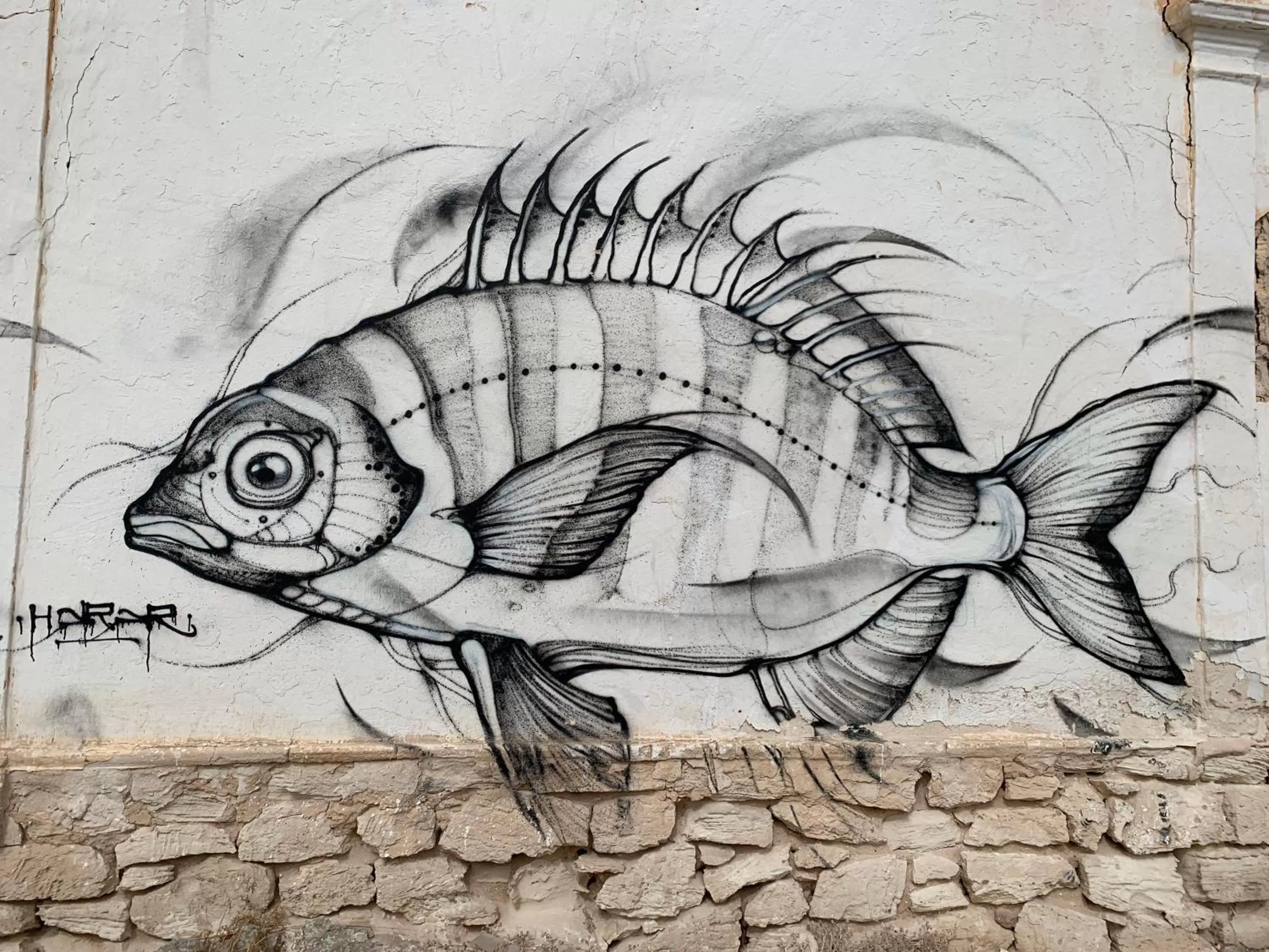 Off site in Dar Lola