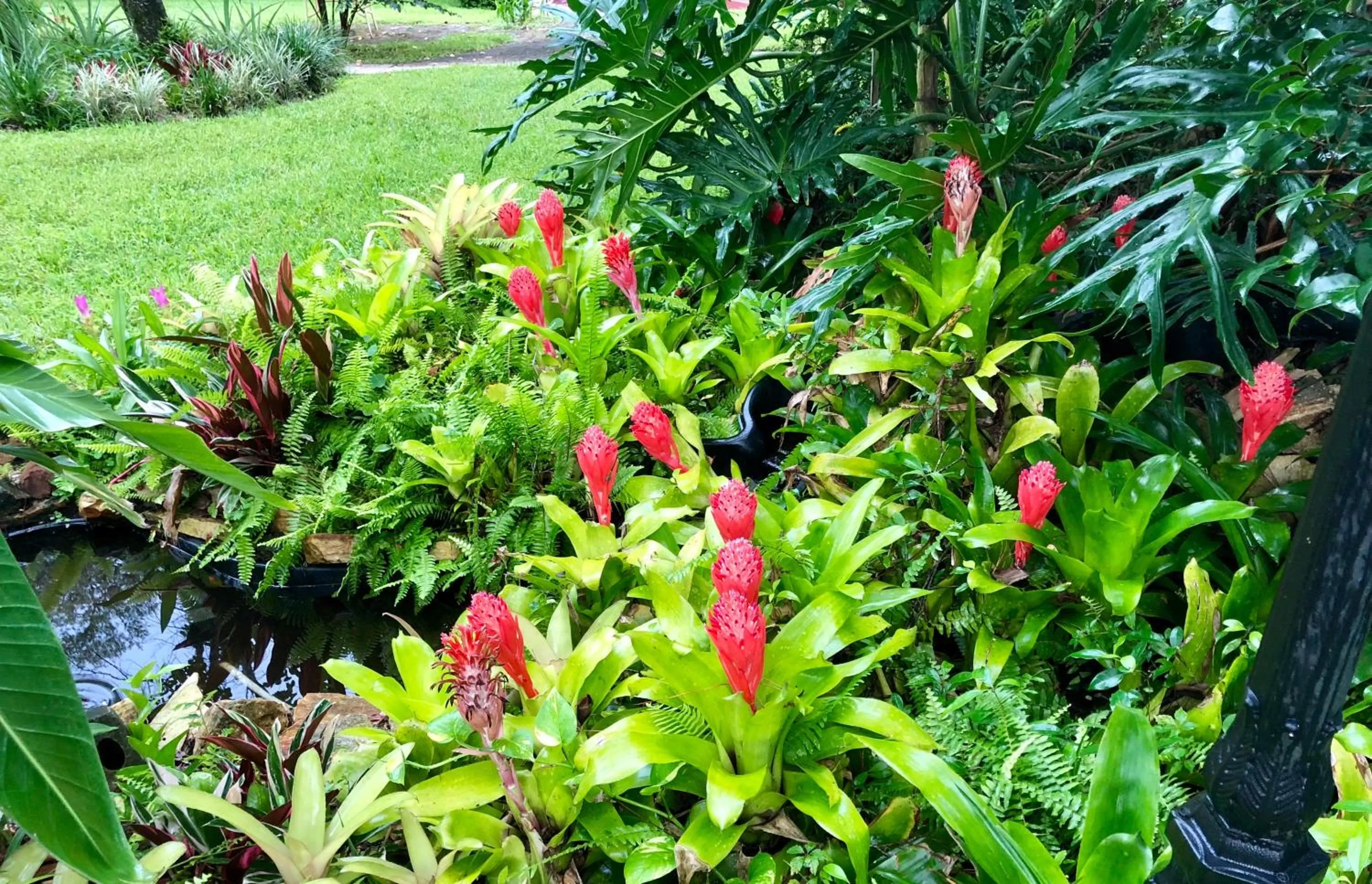 Garden view in The Ann Stevens House