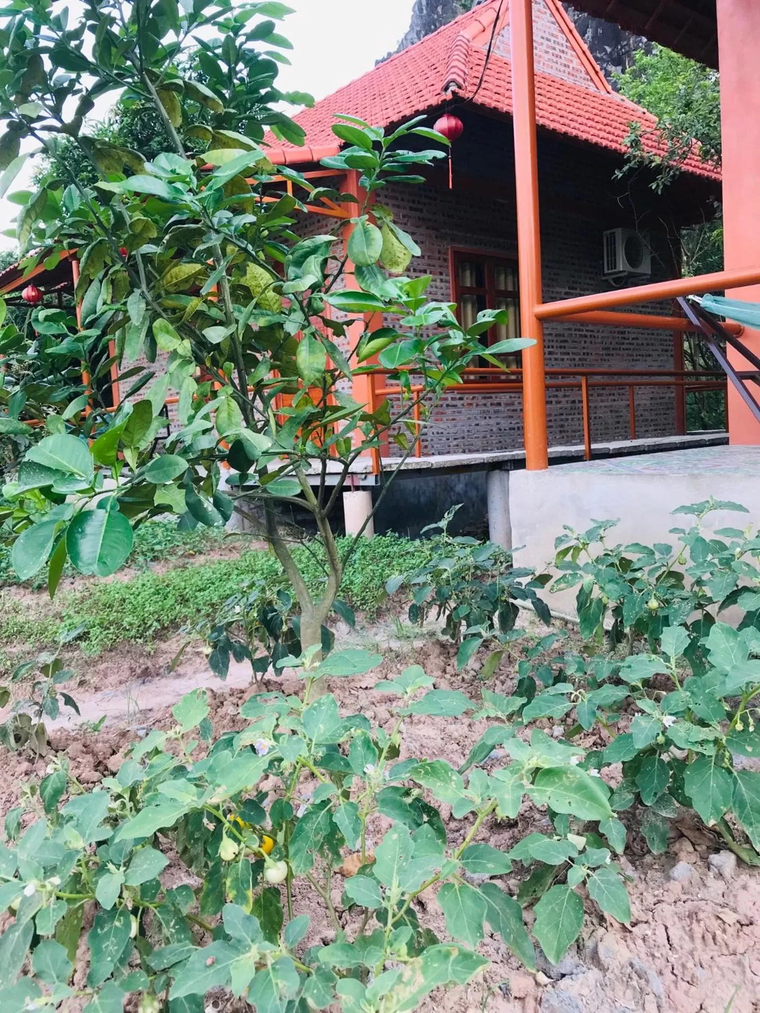 Garden view, Property Building in Trang An Lotus Lake Homestay