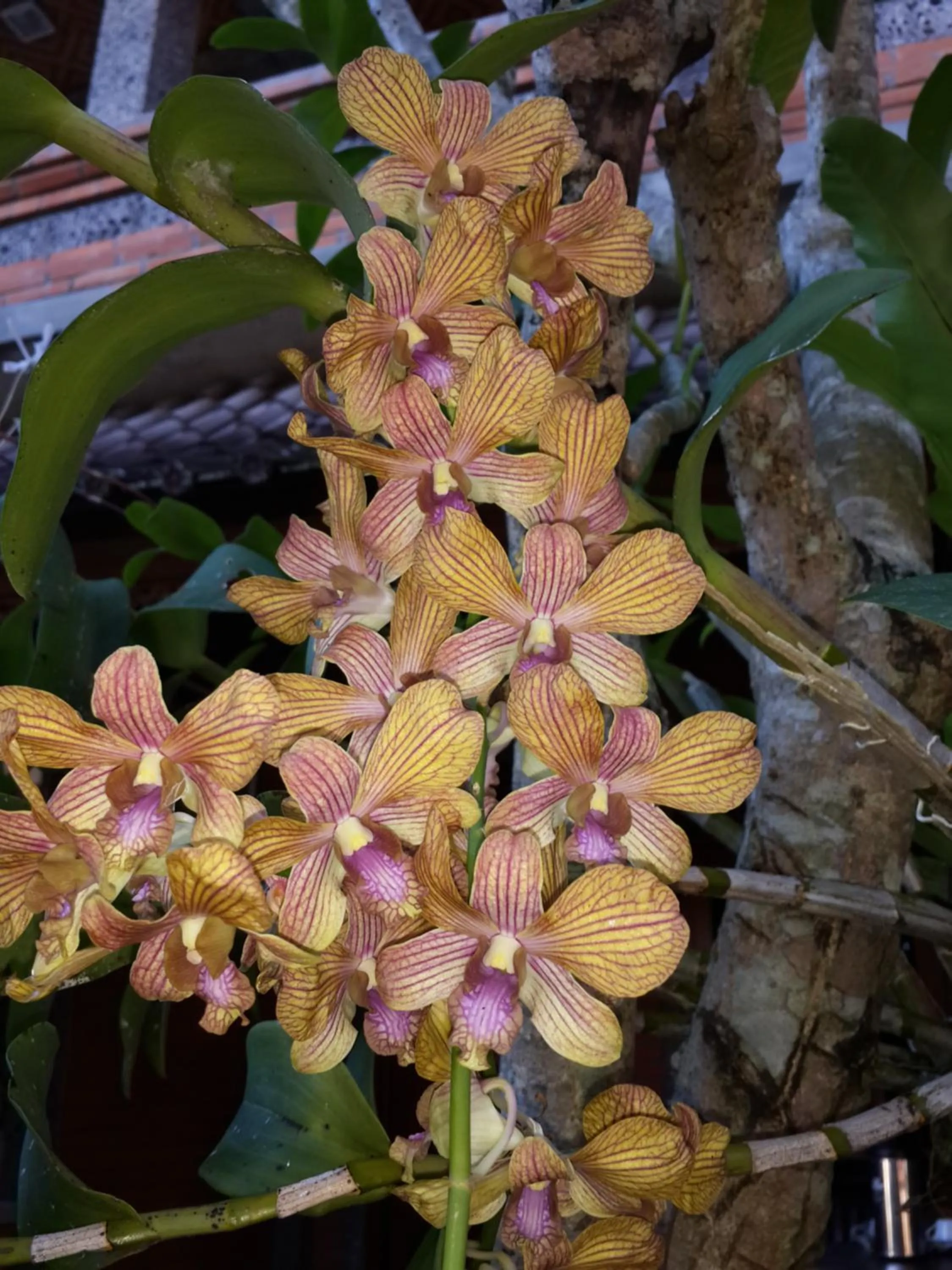 Garden in Kun - Kun Guest House Ubud